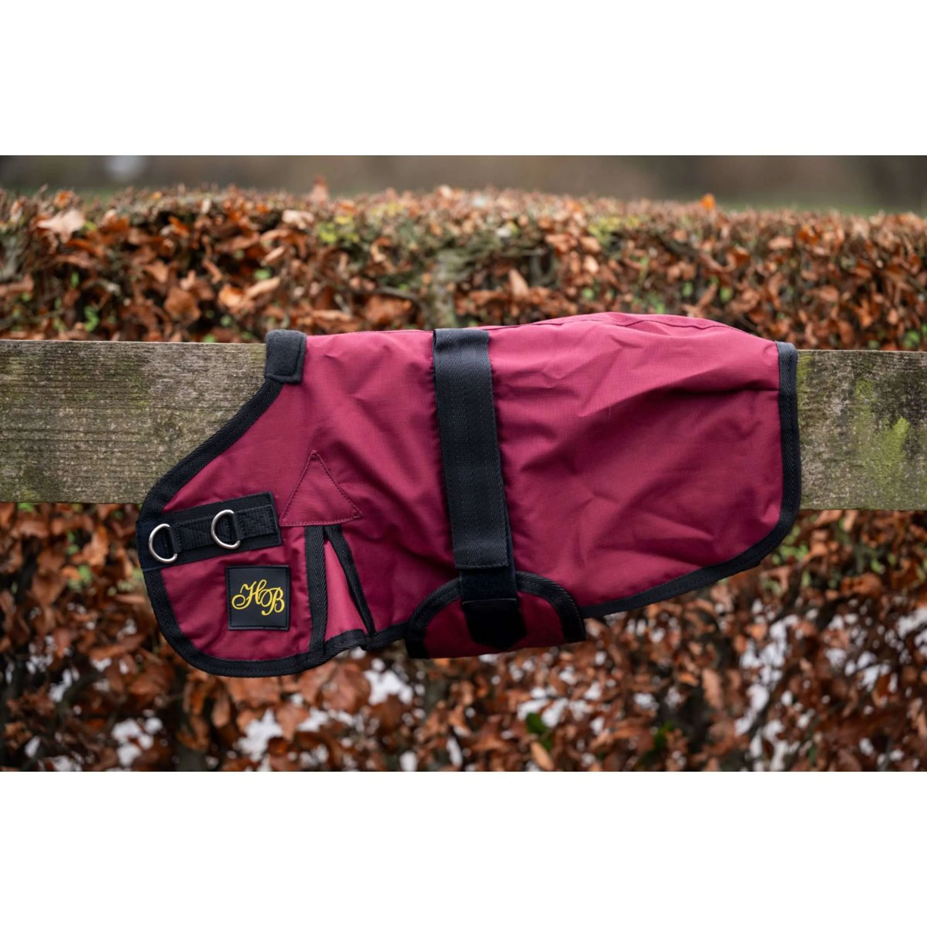 HB Coperta per Puledro Ukki Bordeaux - Image 3