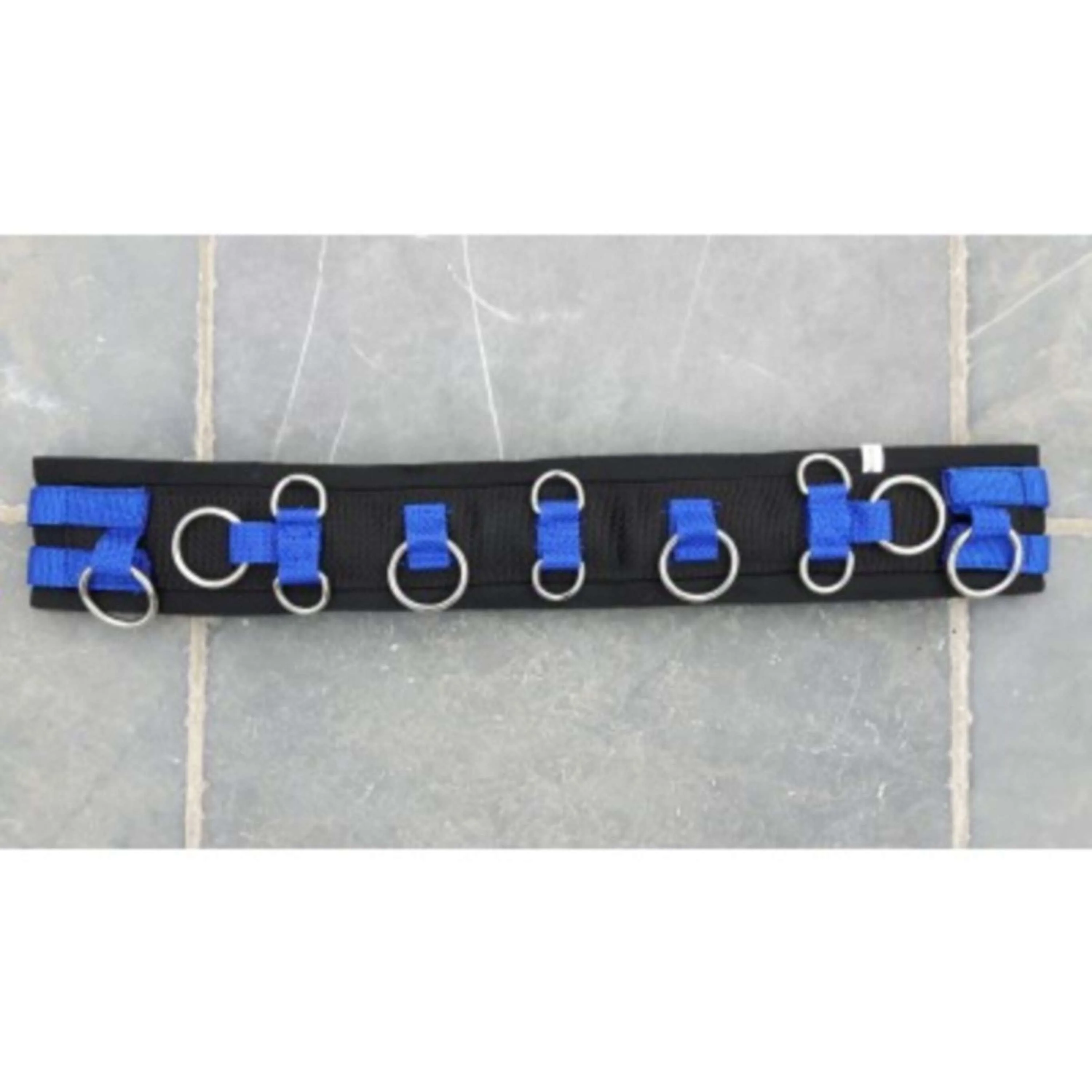HB Fascia da Addestramento Little Sizes Royal Blue