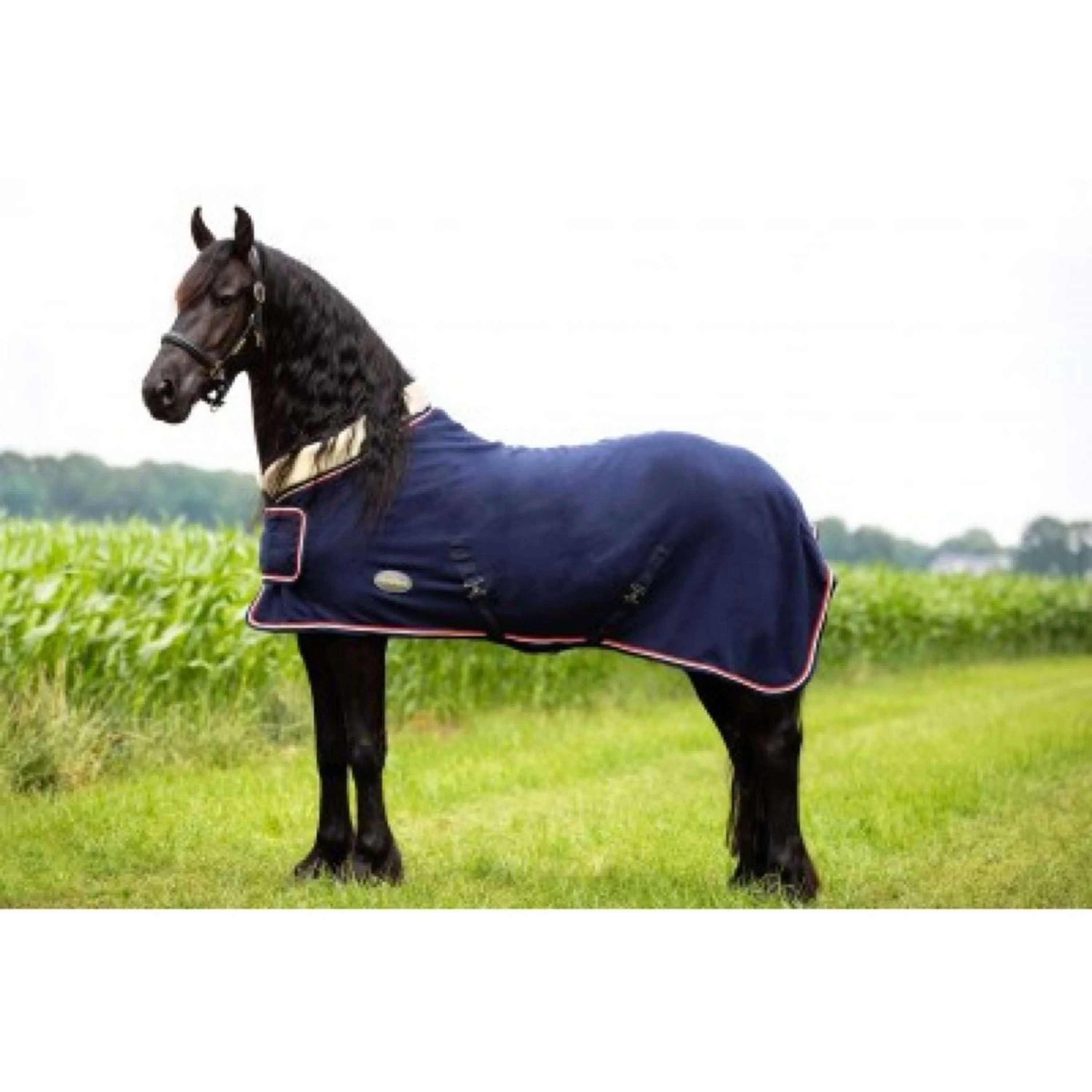 HB Mostra coperta Pile 400gr Dutch Crown Navy - Image 10