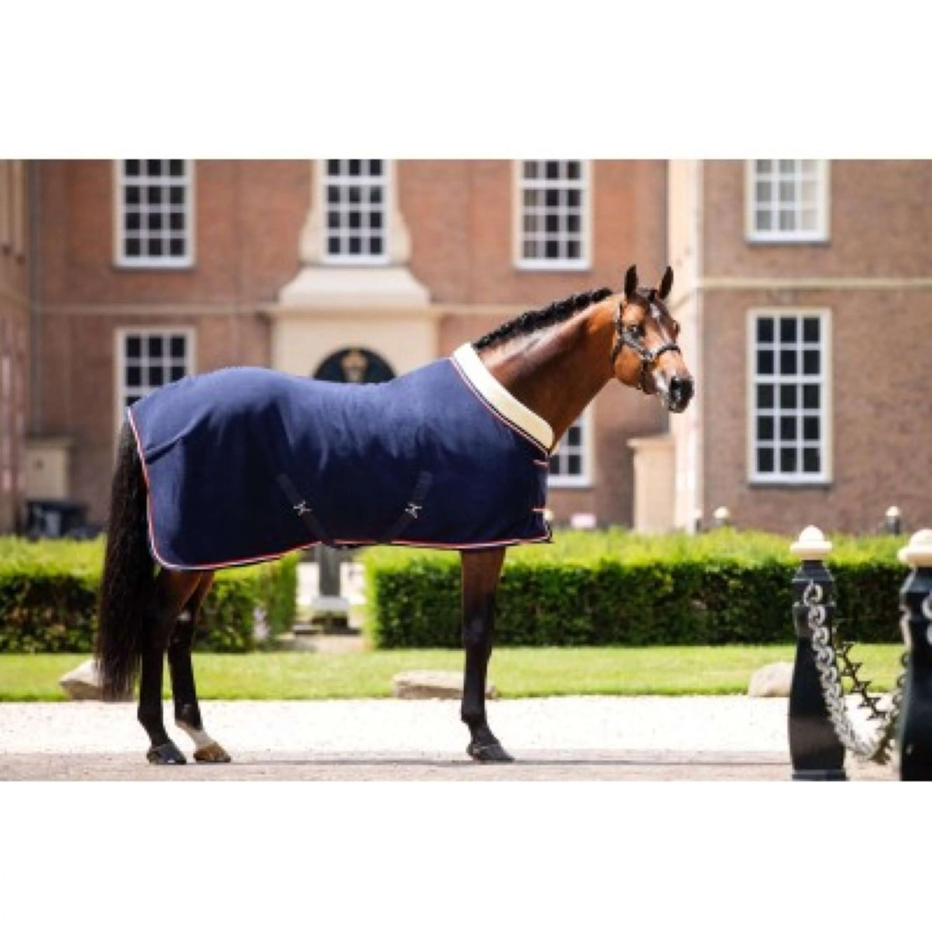 HB Mostra coperta Pile 400gr Dutch Crown Navy - Image 9