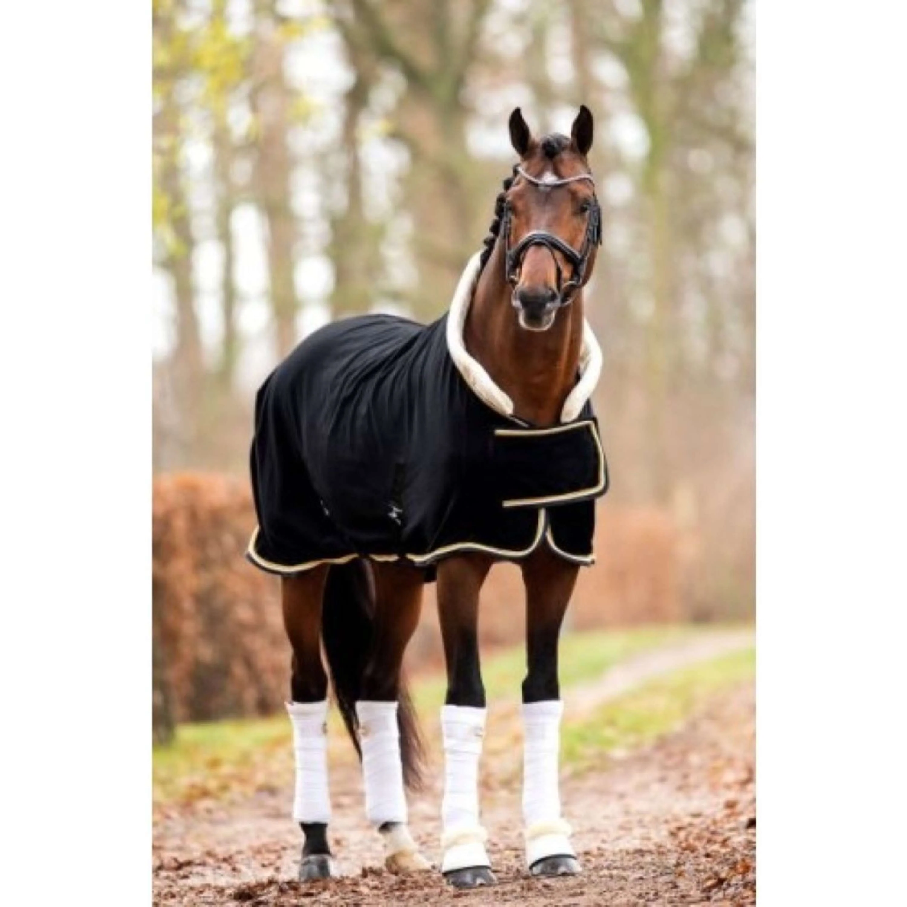 HB Mostra coperta Pile 400gr Dutch Crown Nero - Image 9