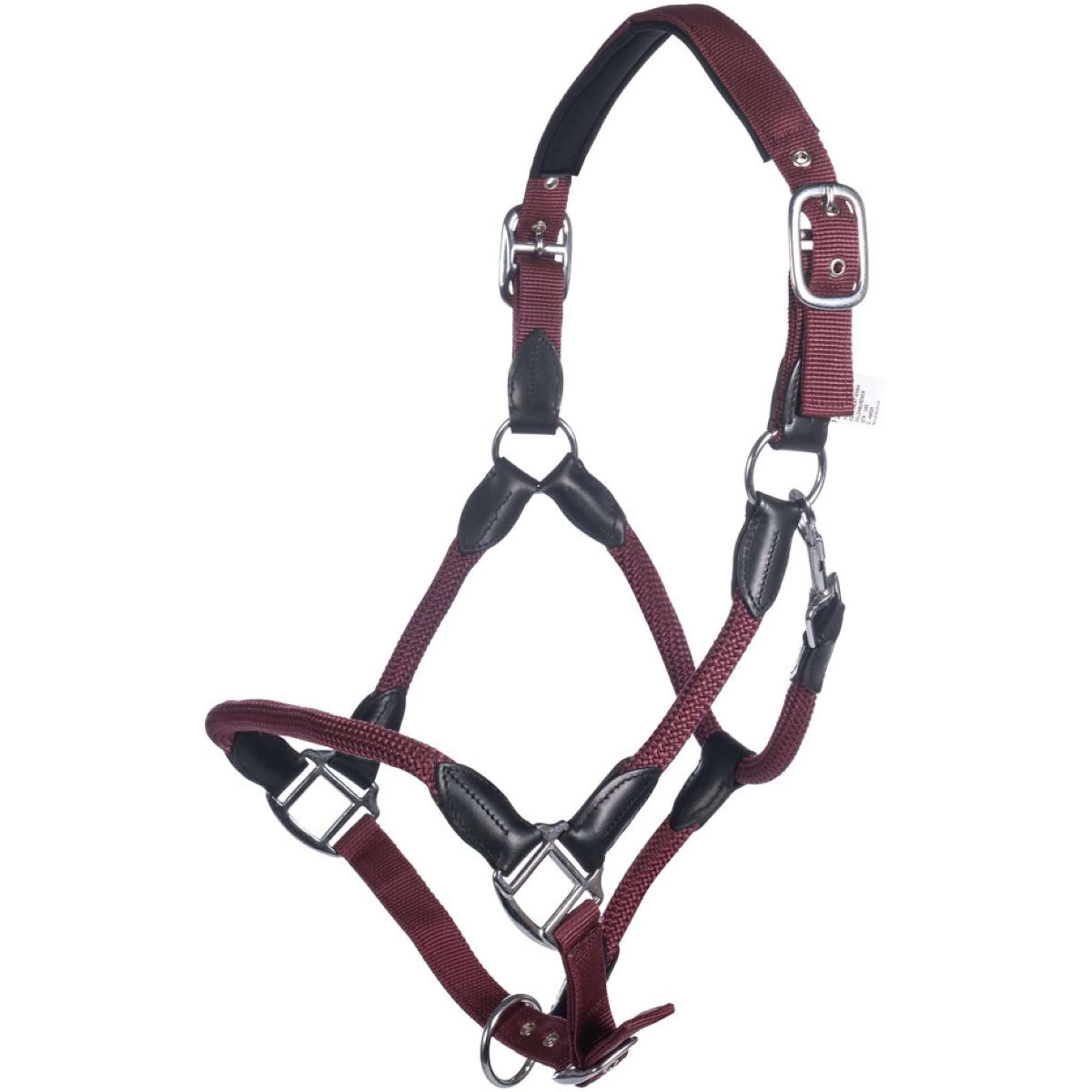 HKM Cavezza Carlotta Bordeaux