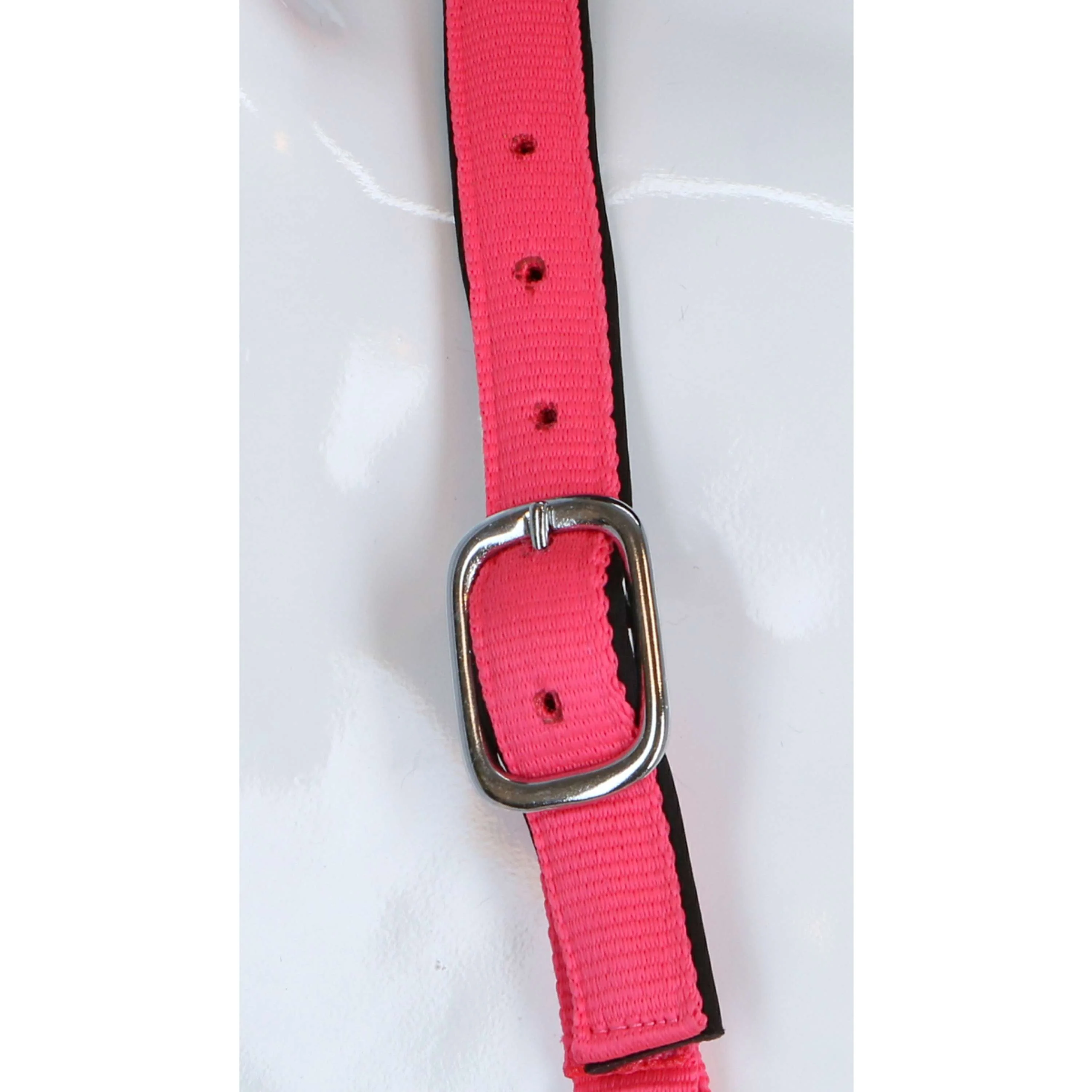 HKM Cavezza Stars Softice Rosa neon - Image 4