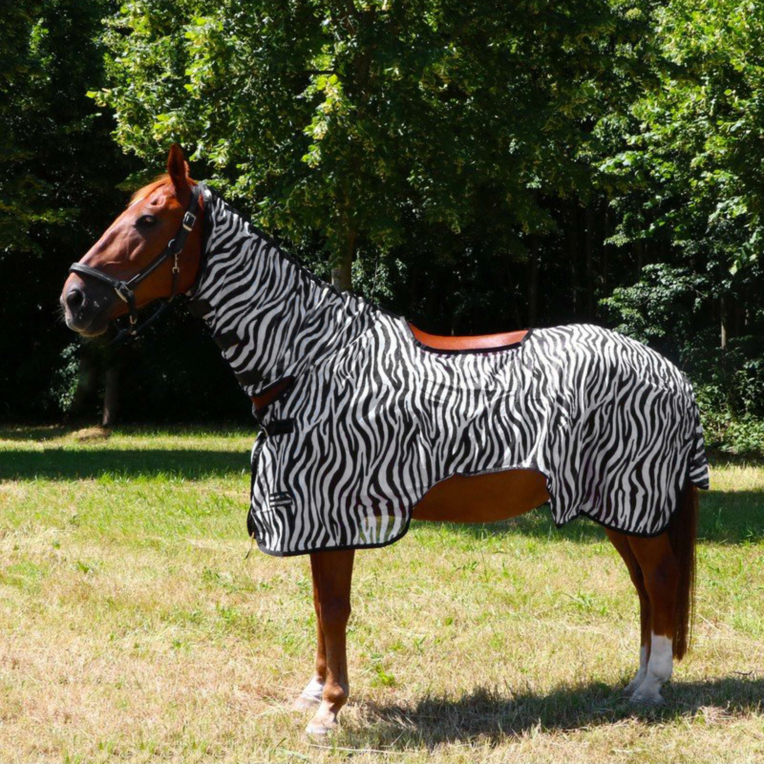 HKM Coperta da esercizio Mosche Zebra