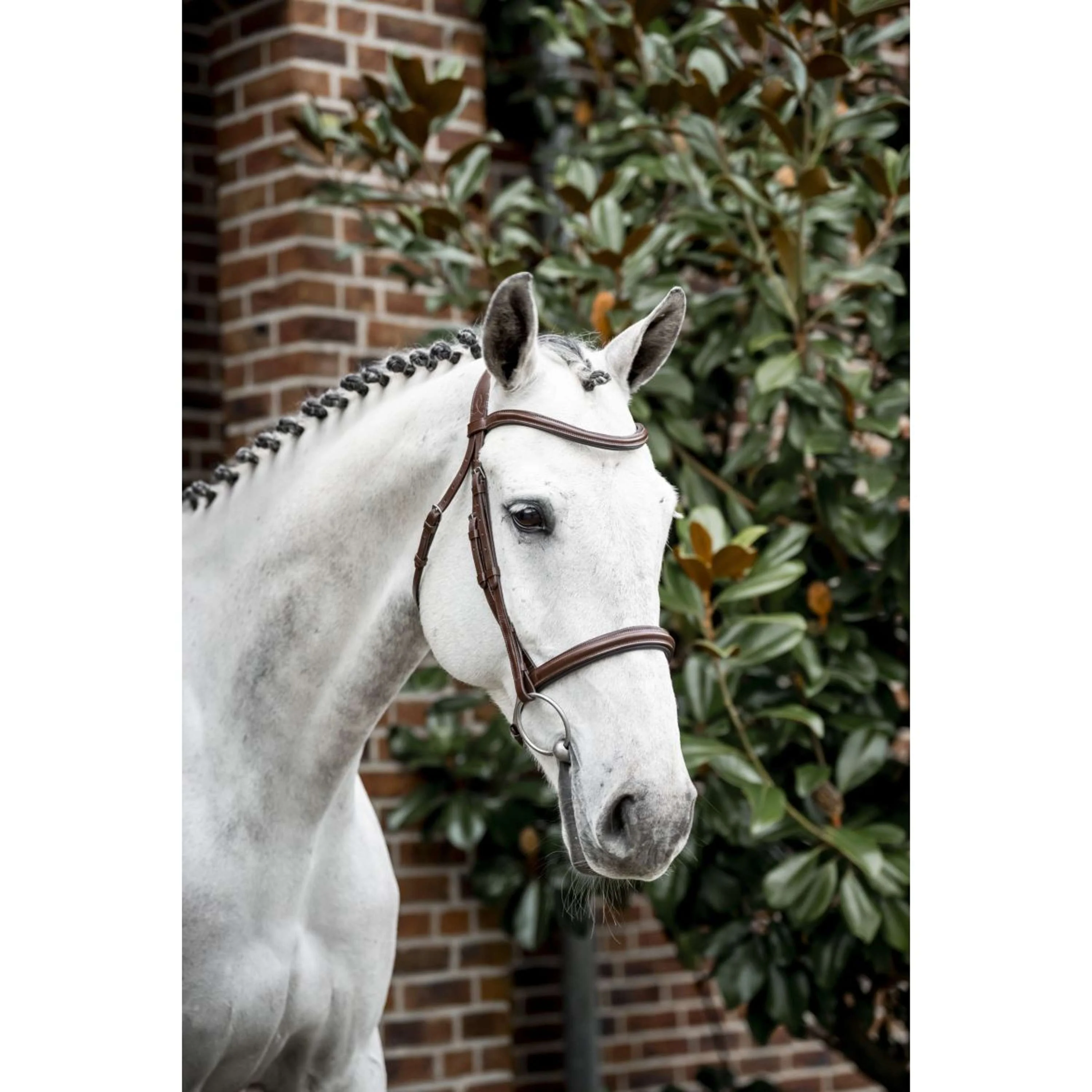Horseware Briglia Cavesson Marrone - Image 12