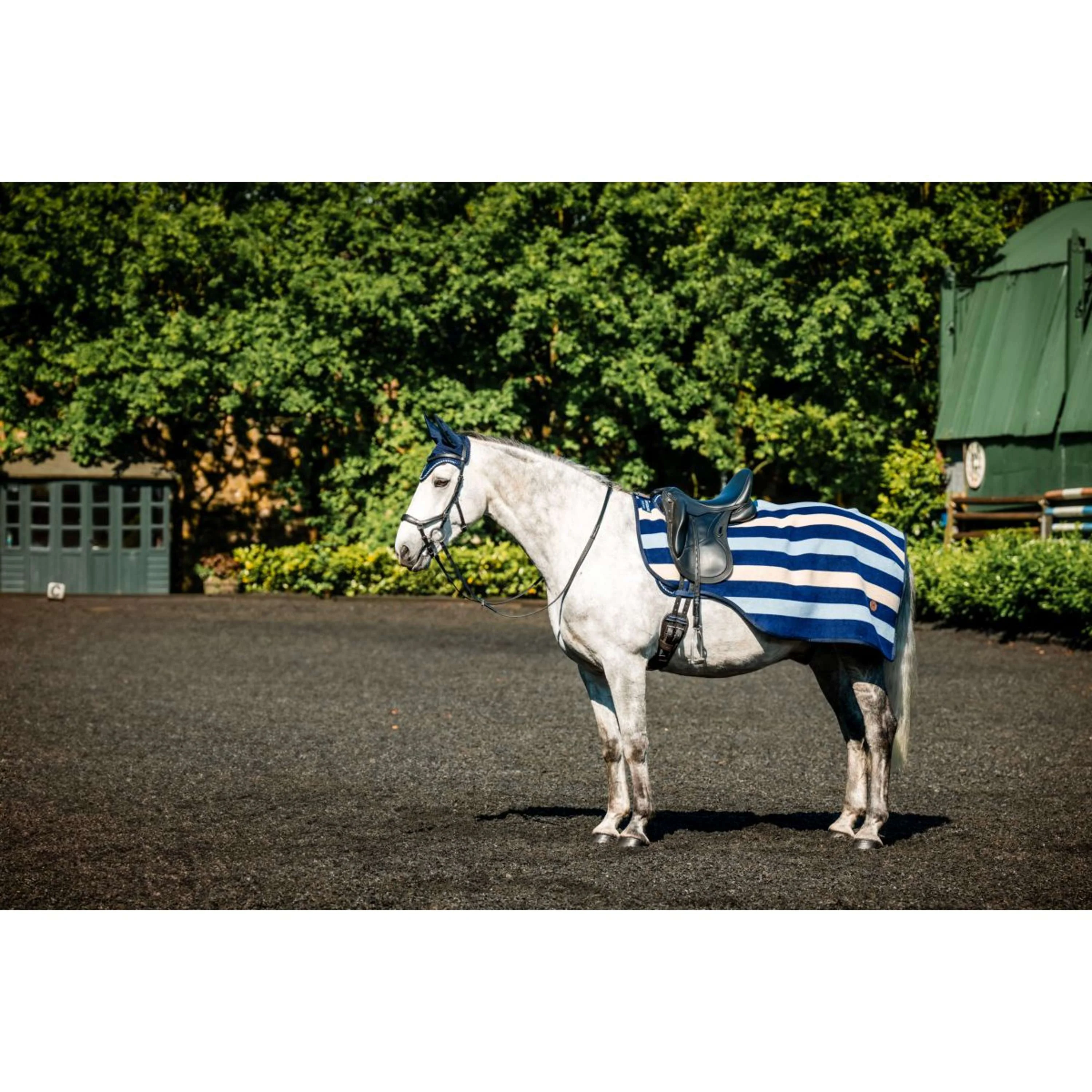 Horseware Coperta da esercizio Newmarket Marina di Witney - Image 4