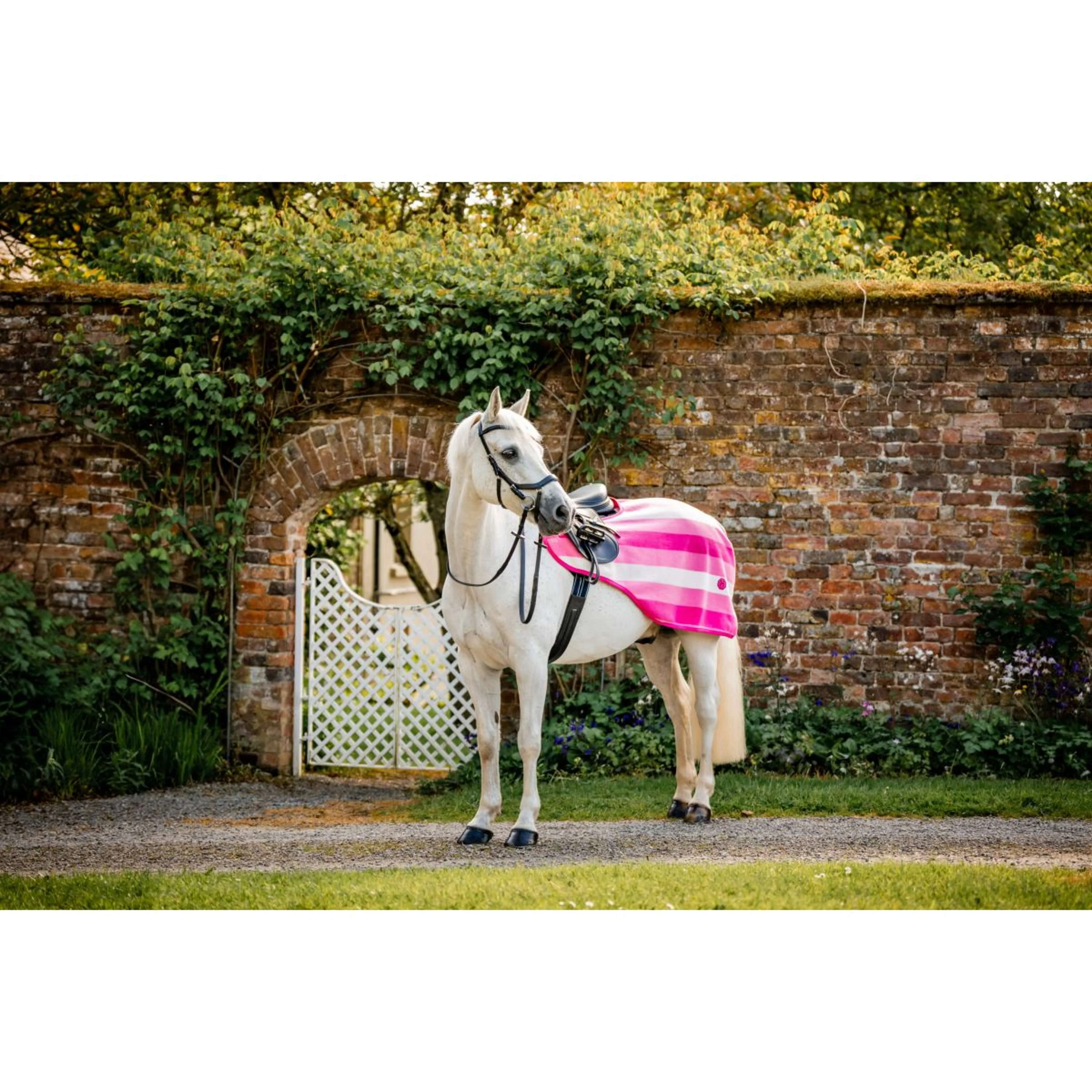 Horseware Coperta da esercizio Newmarket Witney Pink - Image 2