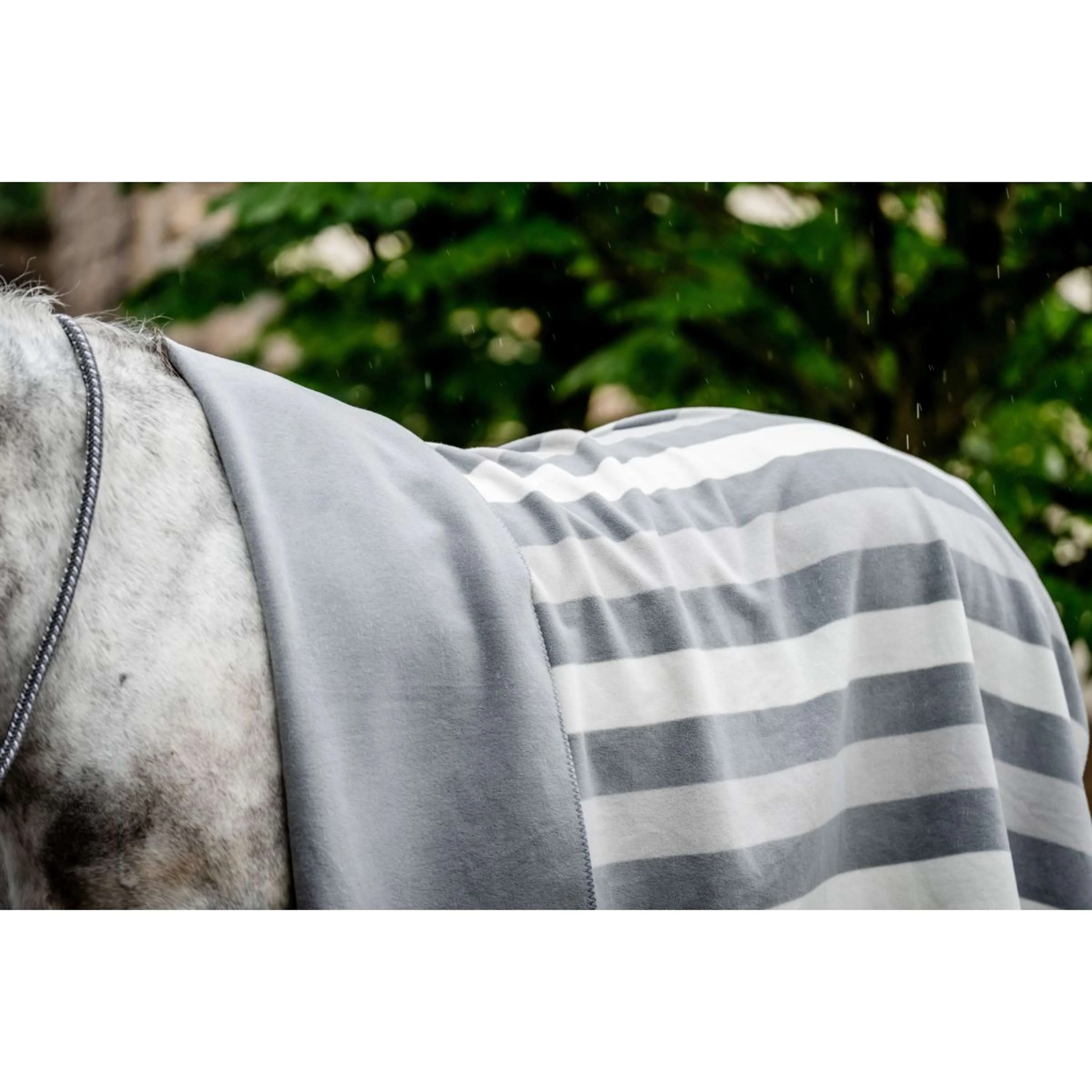 Horseware Coperta in Pile Newmarket Witney Charcoal - Image 2