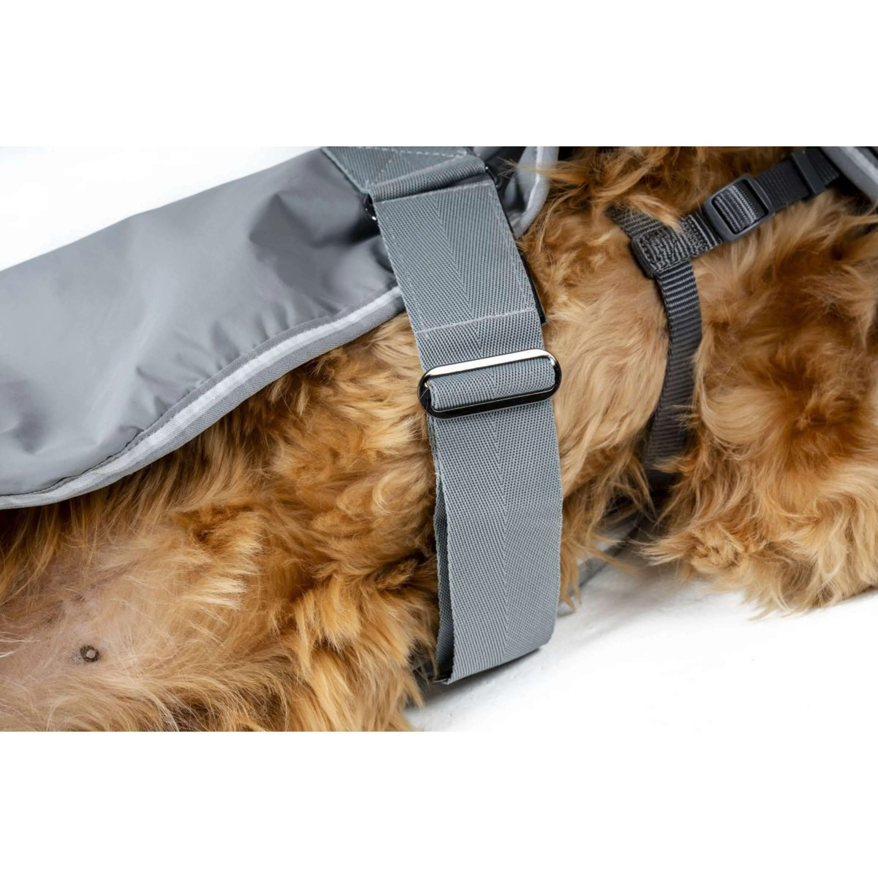 Horseware Coperta per Cani Newmarket Witney Charcoal - Image 5