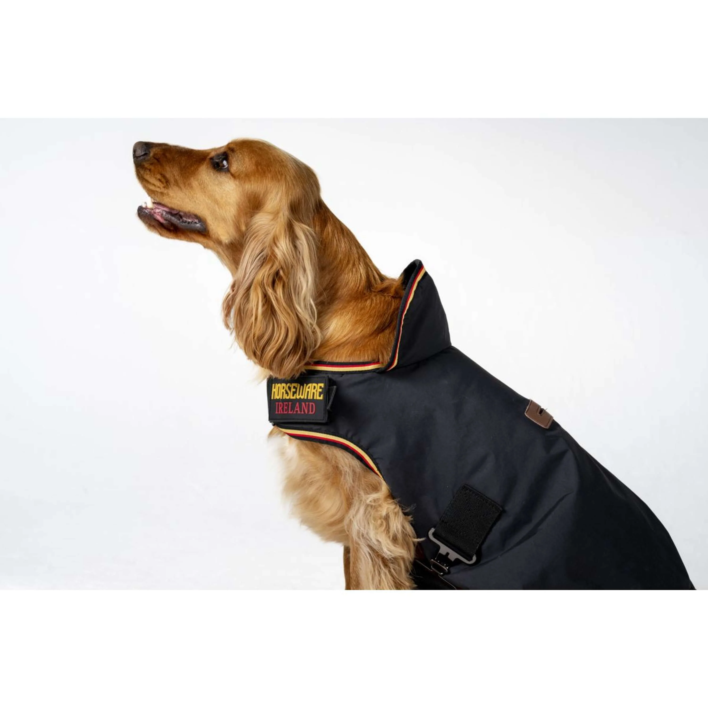 Horseware Coperta per Cani Newmarket Witney Gold - Image 5