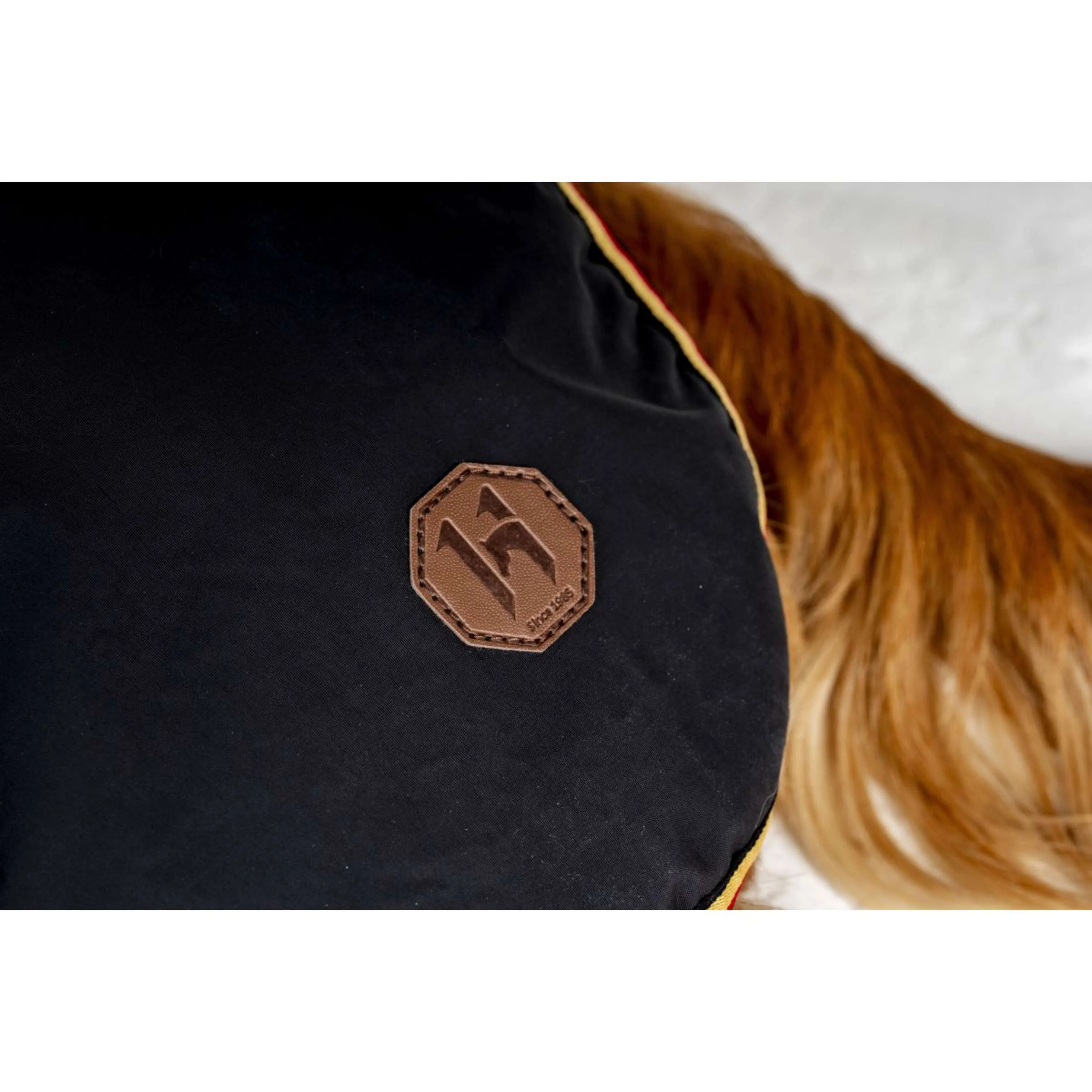 Horseware Coperta per Cani Newmarket Witney Gold - Image 6
