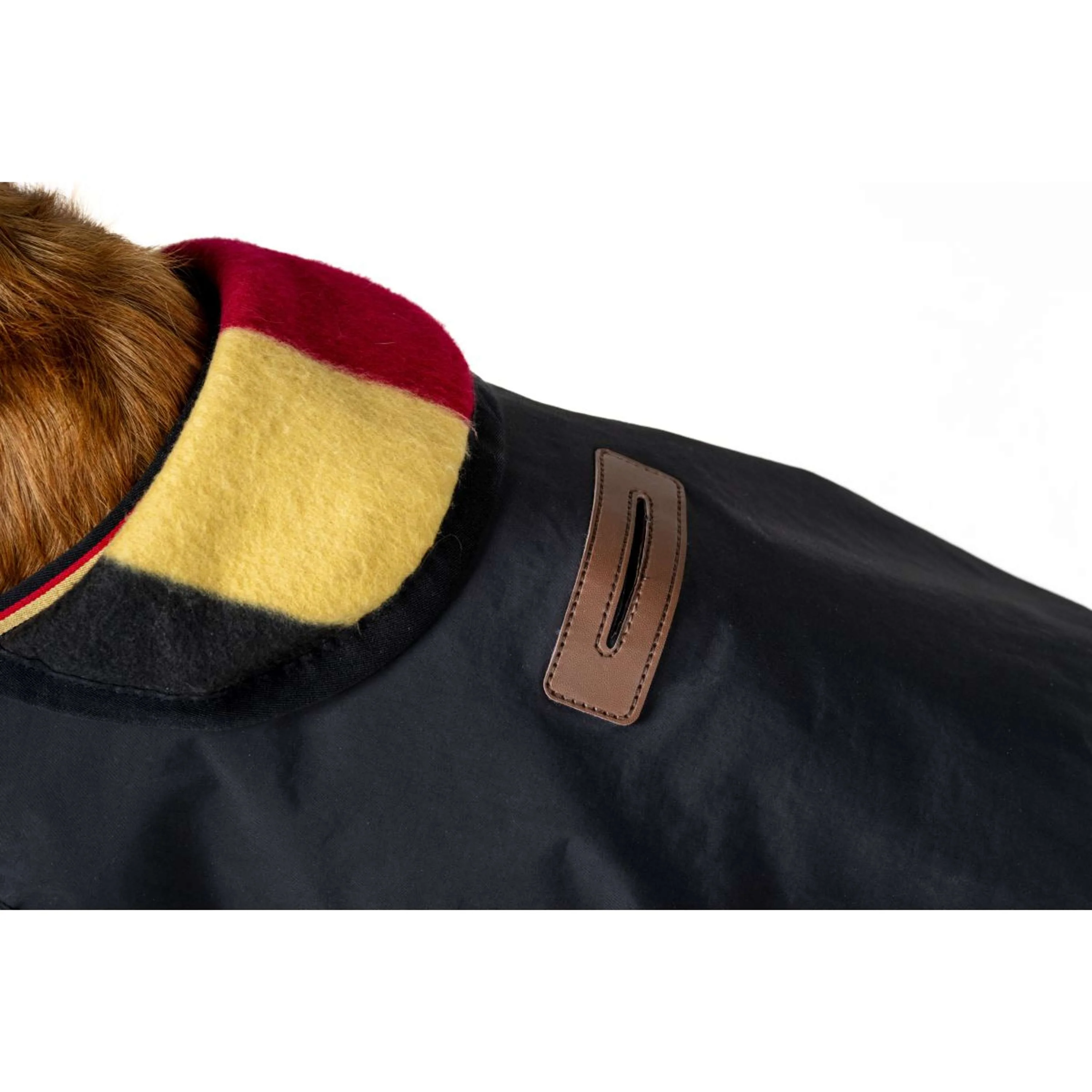 Horseware Coperta per Cani Newmarket Witney Gold - Image 7