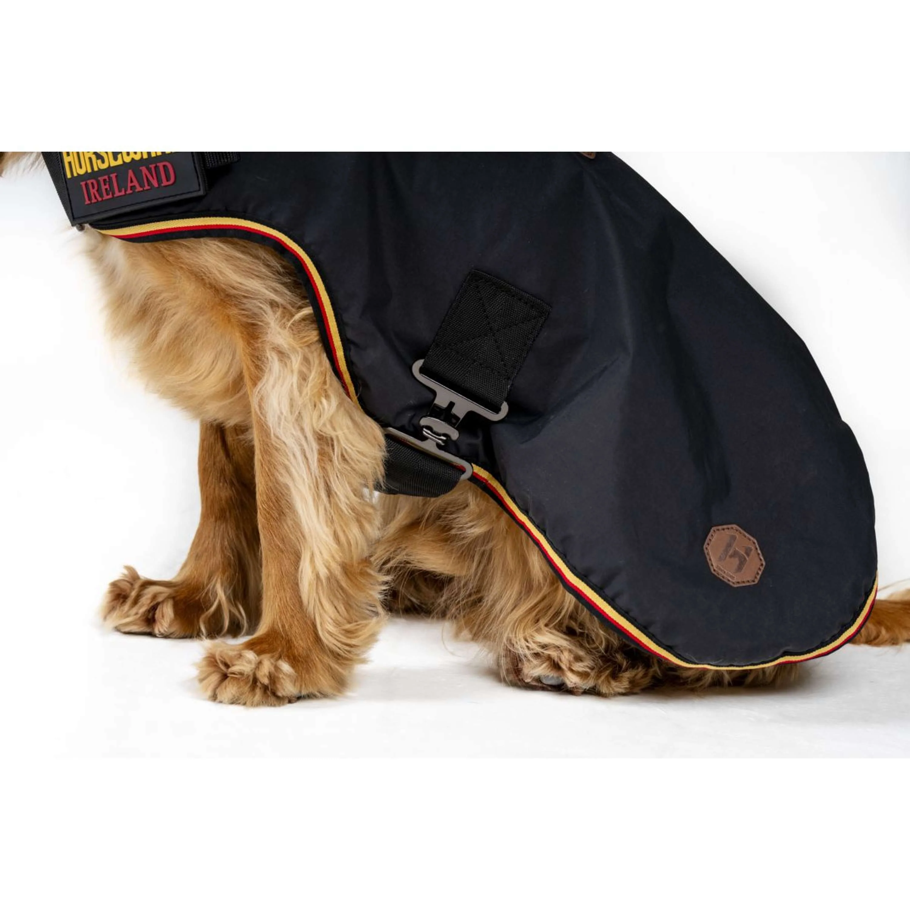 Horseware Coperta per Cani Newmarket Witney Gold - Image 8