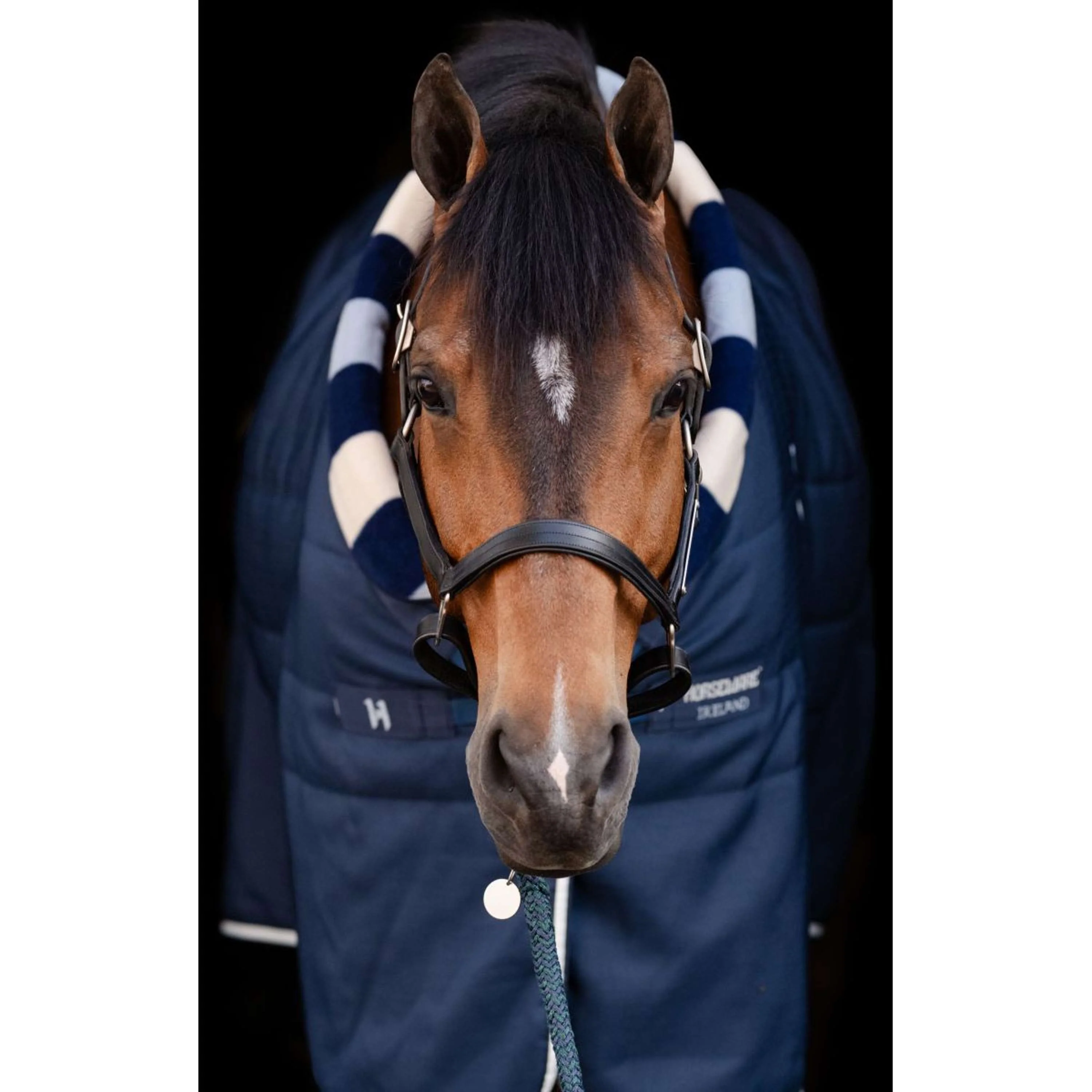 Horseware Cosy Stable Newmarket 200g Marina di Witney - Image 2