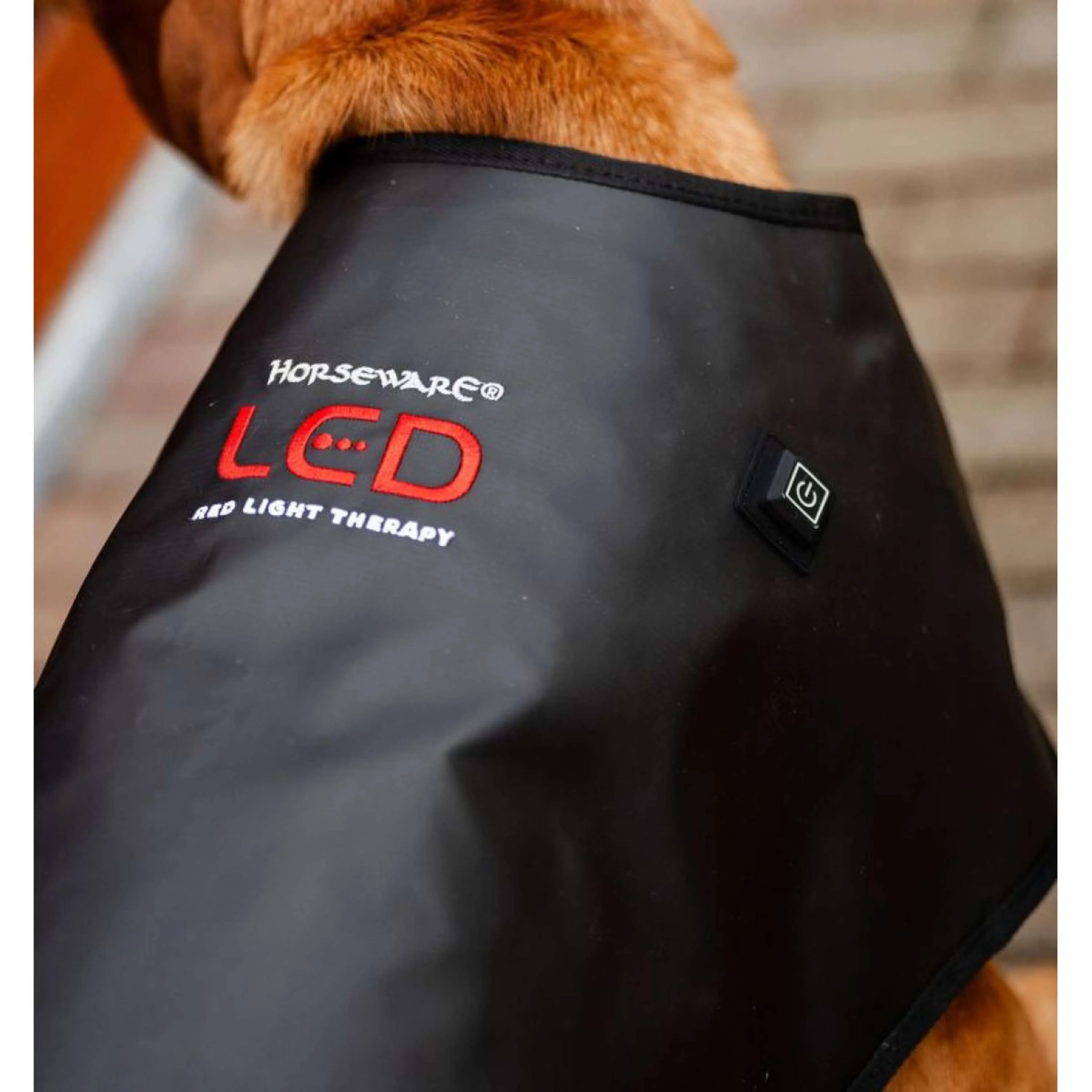 Horseware GUIDATO Red Light Therapy Coperte Nero - Image 3