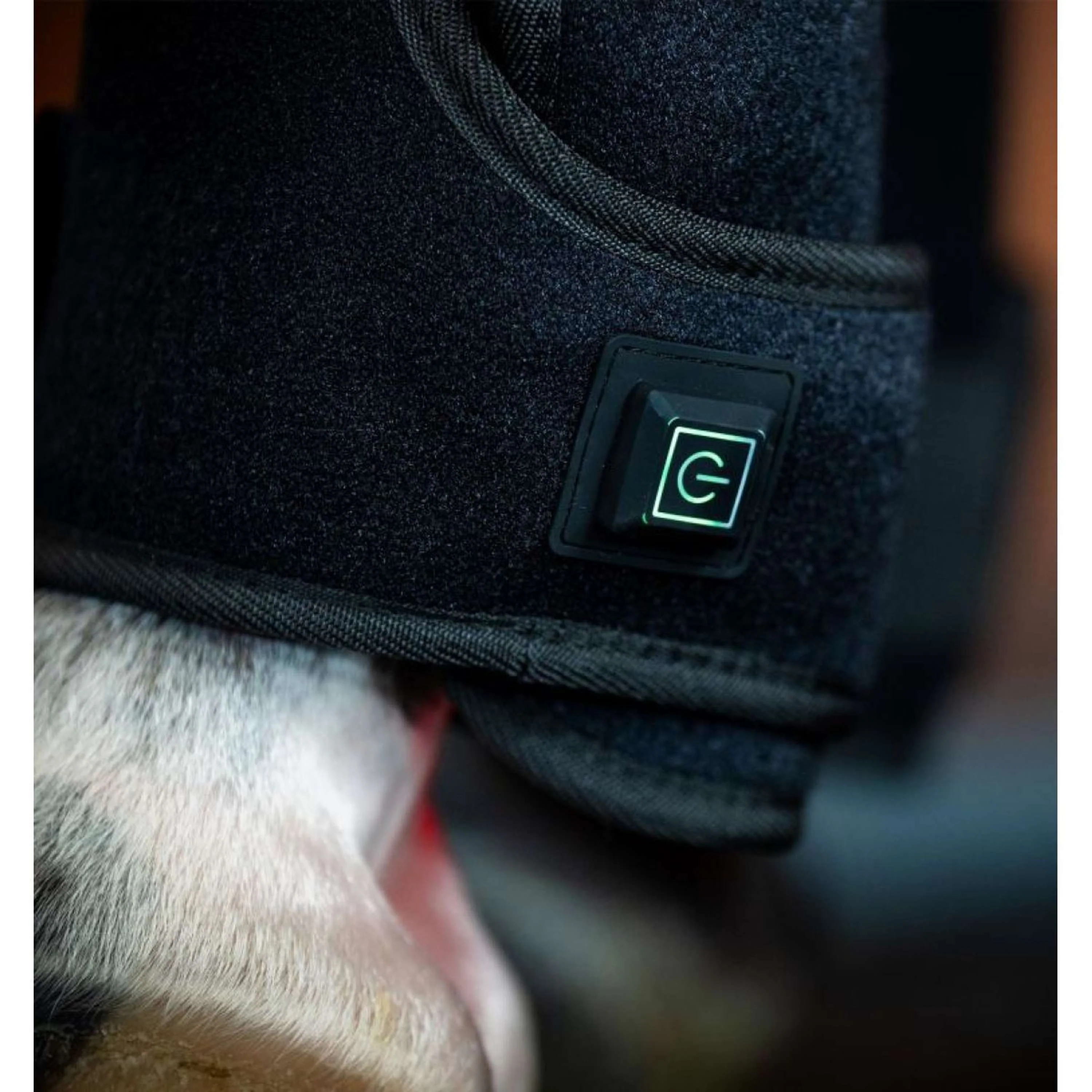 Horseware GUIDATO Red Light Therapy Left Leg Wrap Nero - Image 2