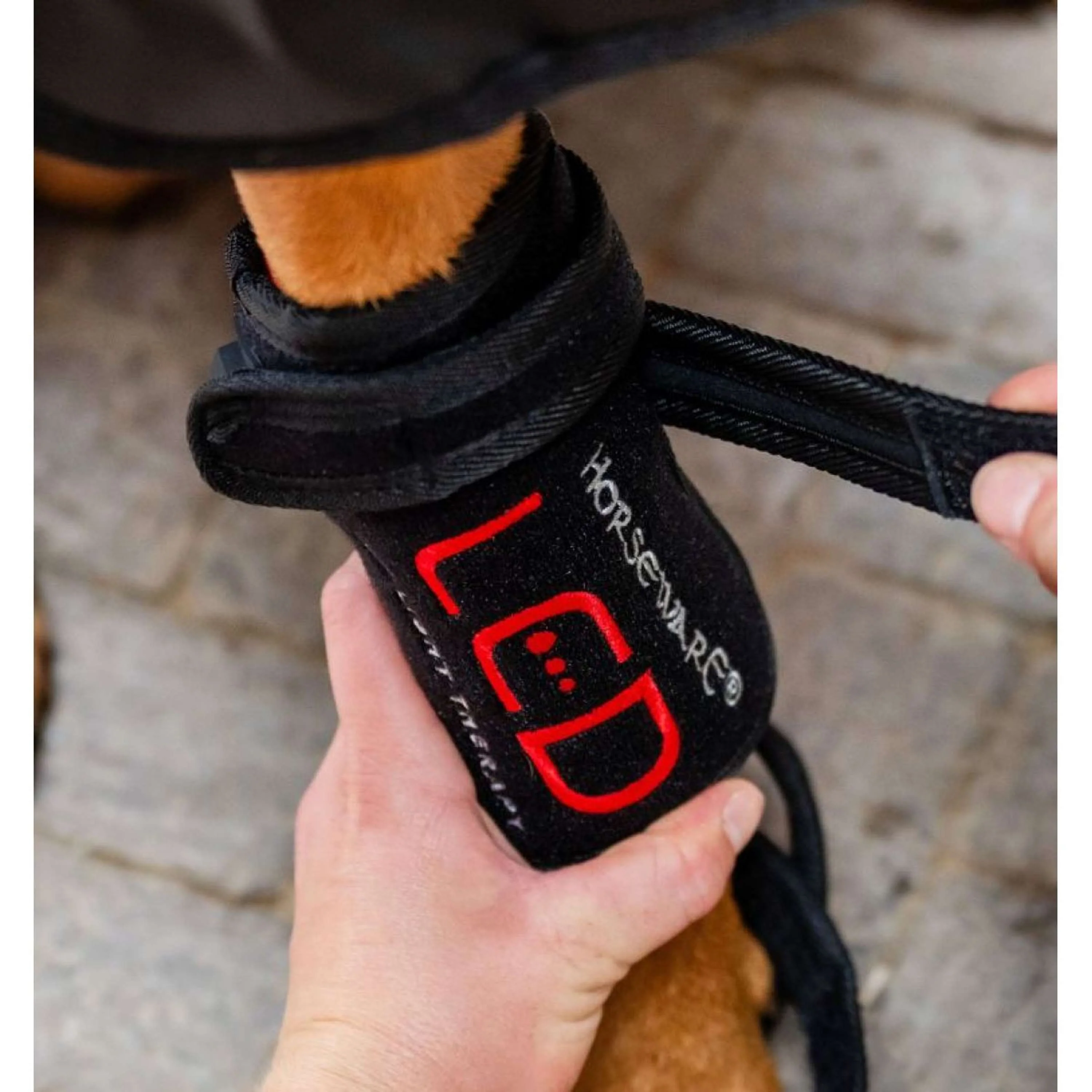 Horseware GUIDATO Red Light Therapy Pet Leg Wrap Nero
