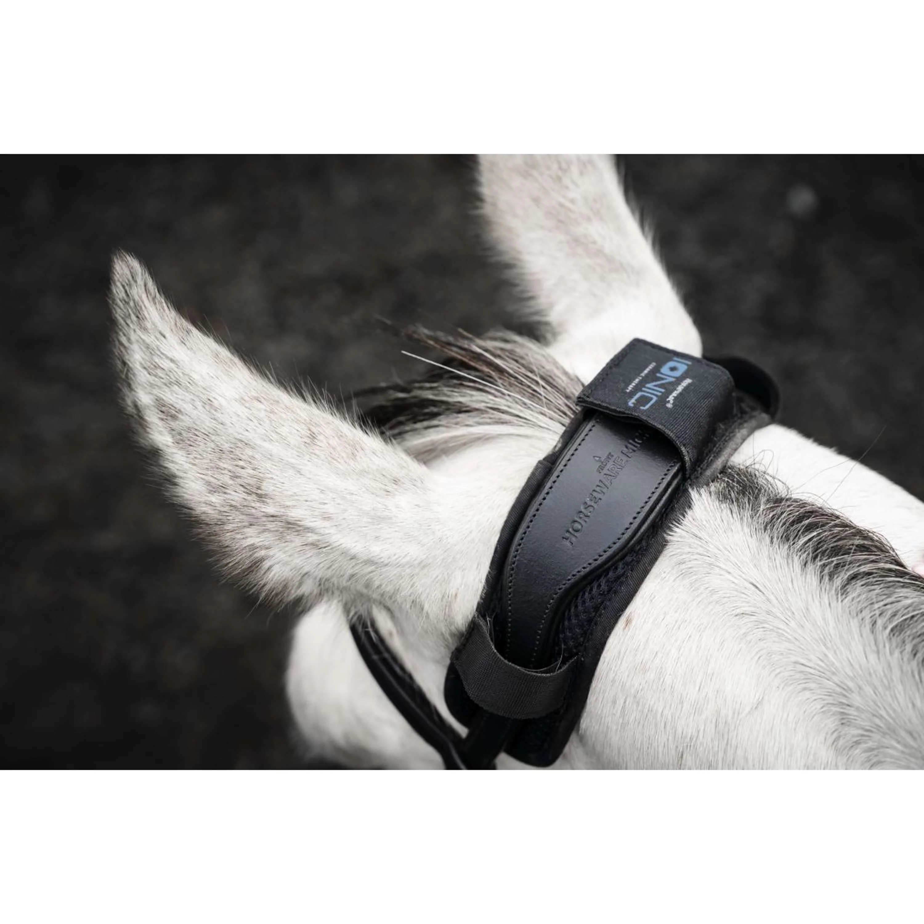 Horseware Proteggi Briglia Ionic Nero - Image 3