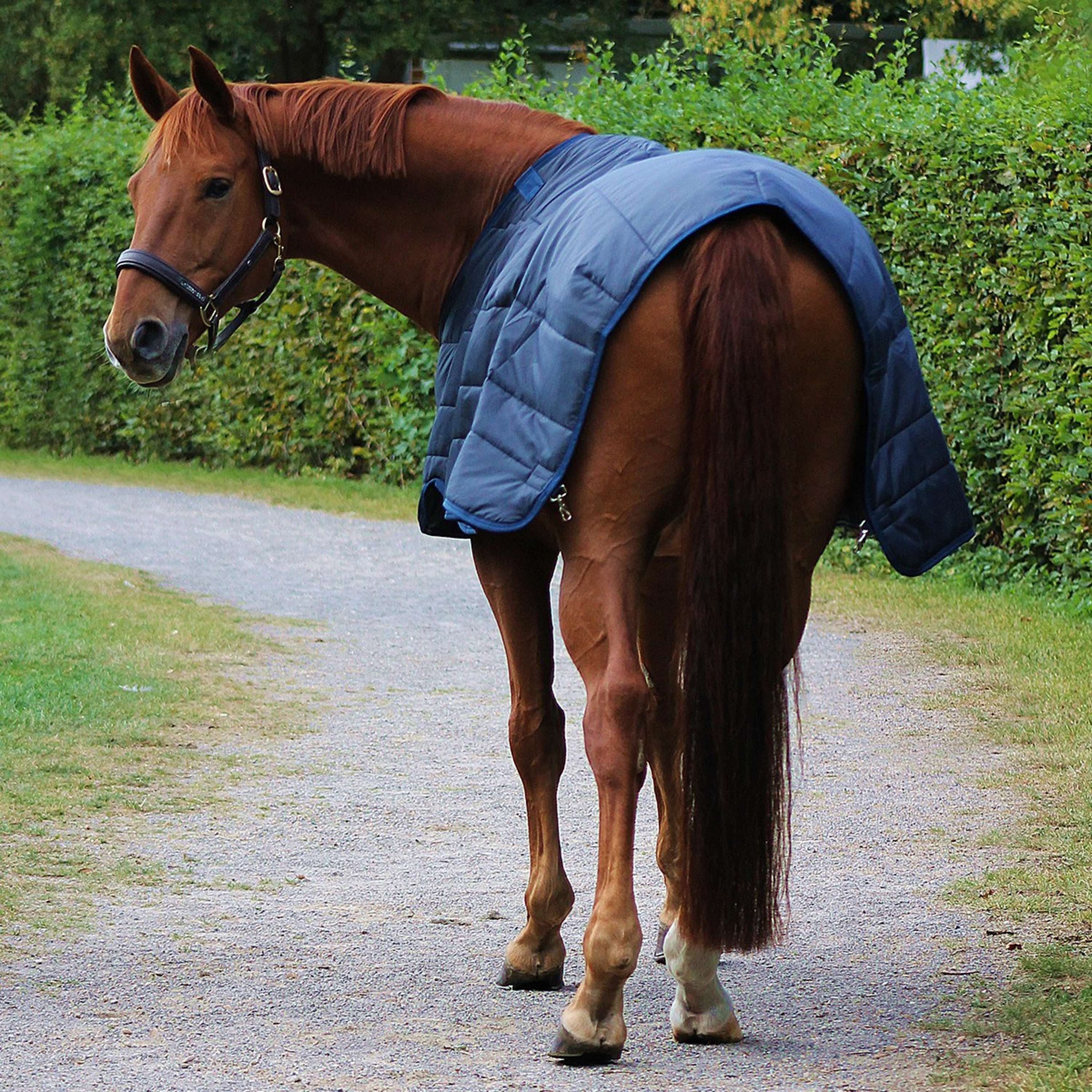 Horseware Liner 100g Navy - Image 5
