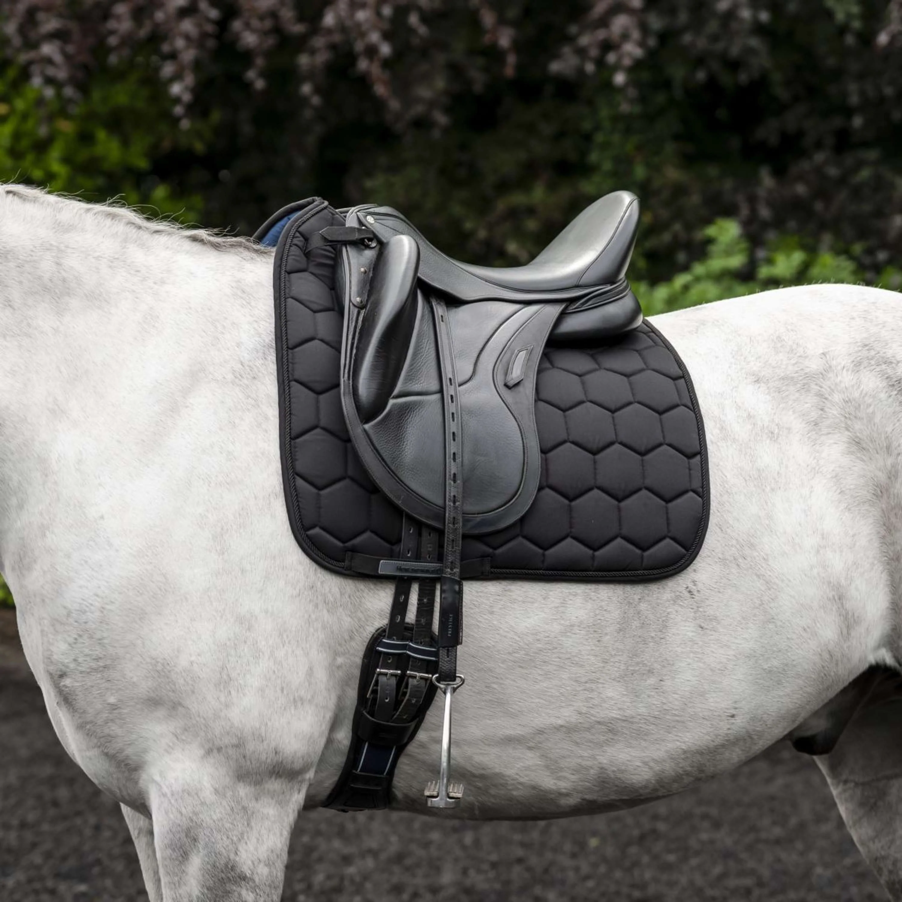 Horseware Sottosella Ionic Dressage Nero - Image 2