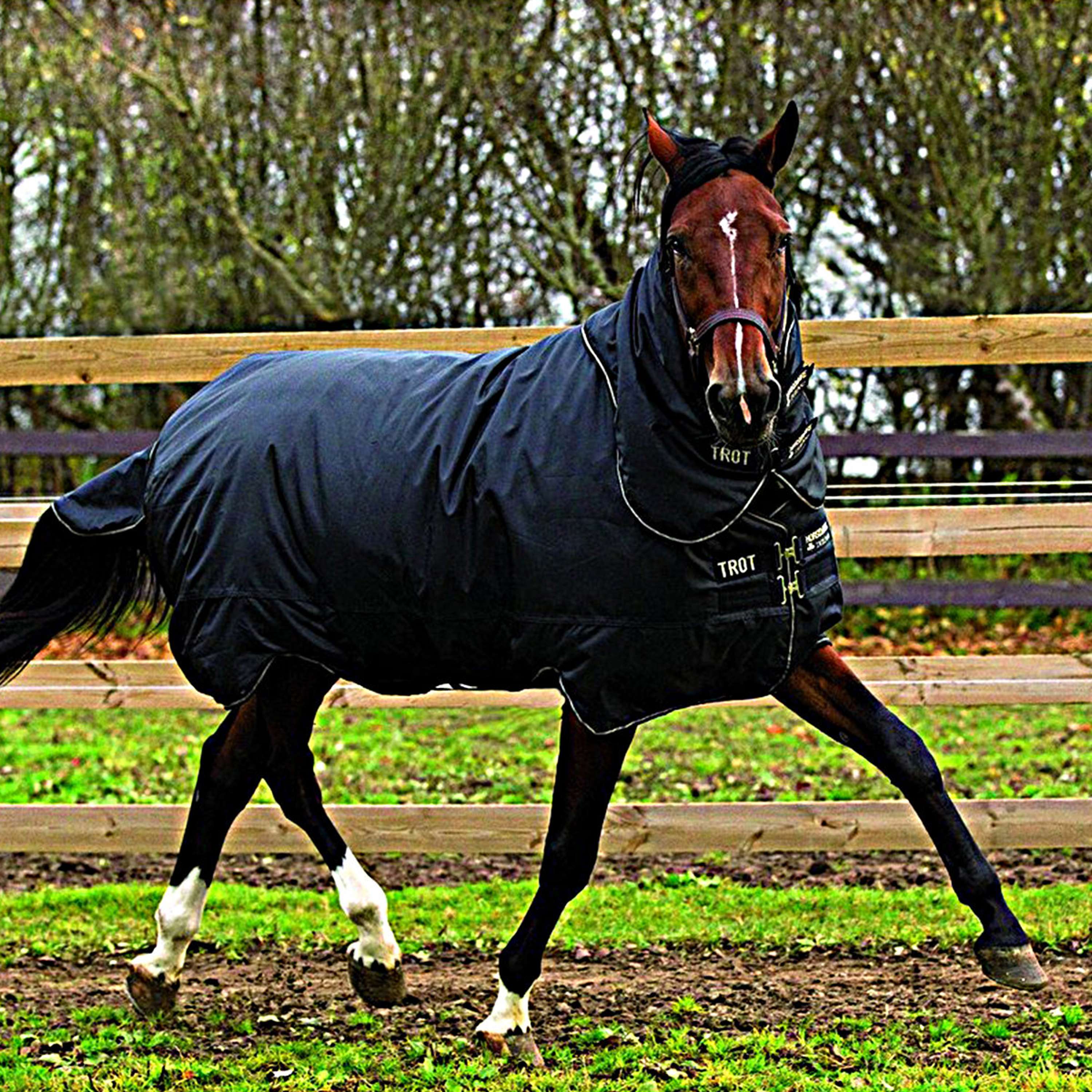 Horseware Trot Plus Heavy Nero abbronzato