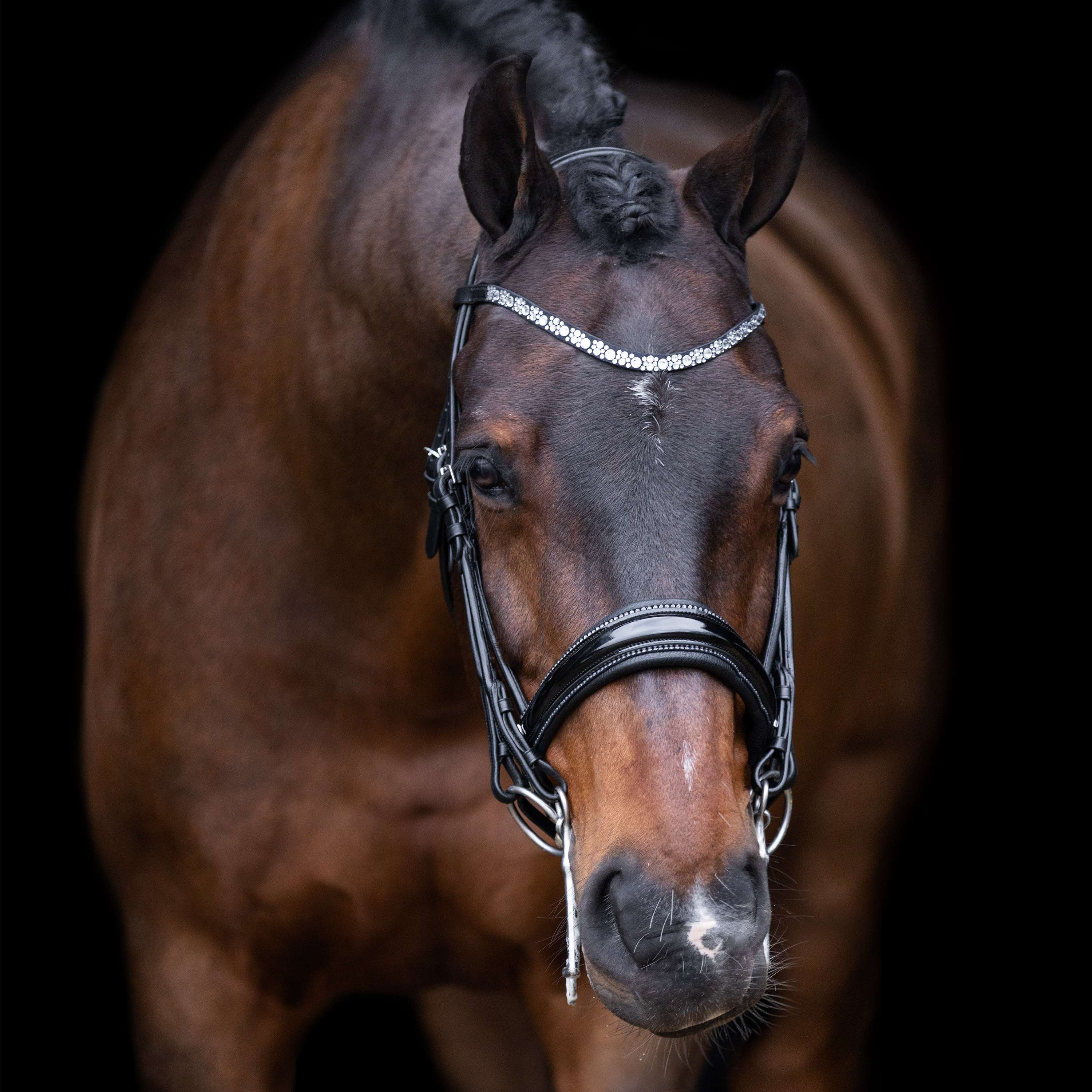 Imperial Riding Briglia Doppia IRHOlympia Nero Argento