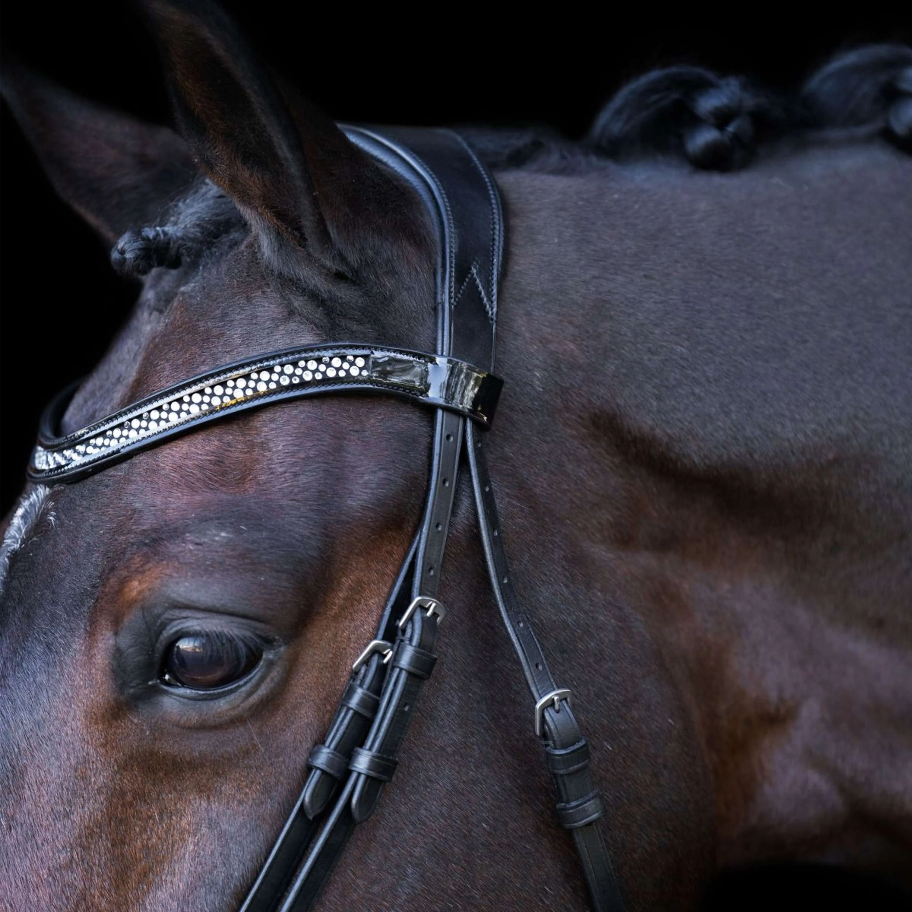 Imperial Riding Briglia IRH Nero/cristallo - Image 3