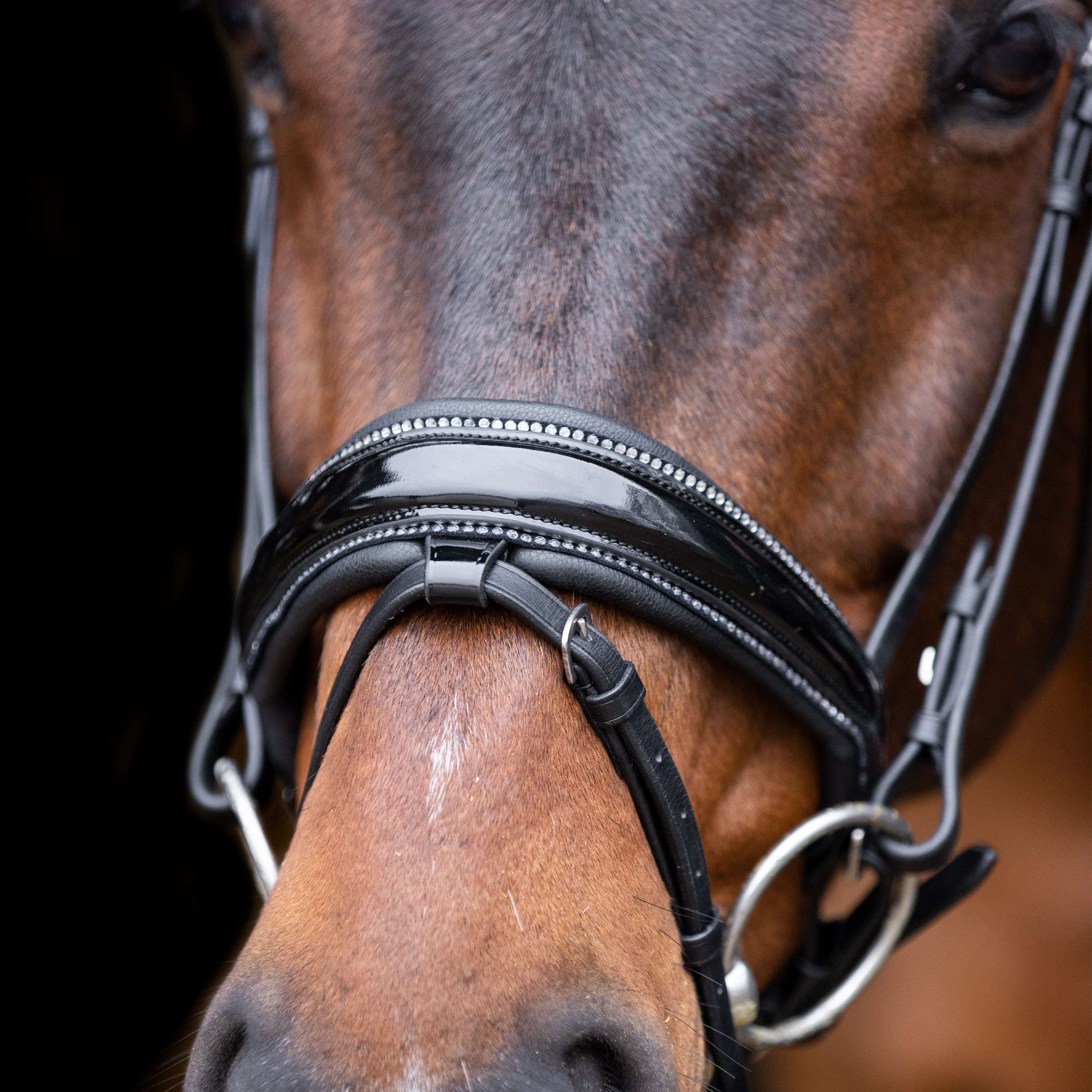 Imperial Riding Briglia IRHOlympia Nero Argento - Image 2