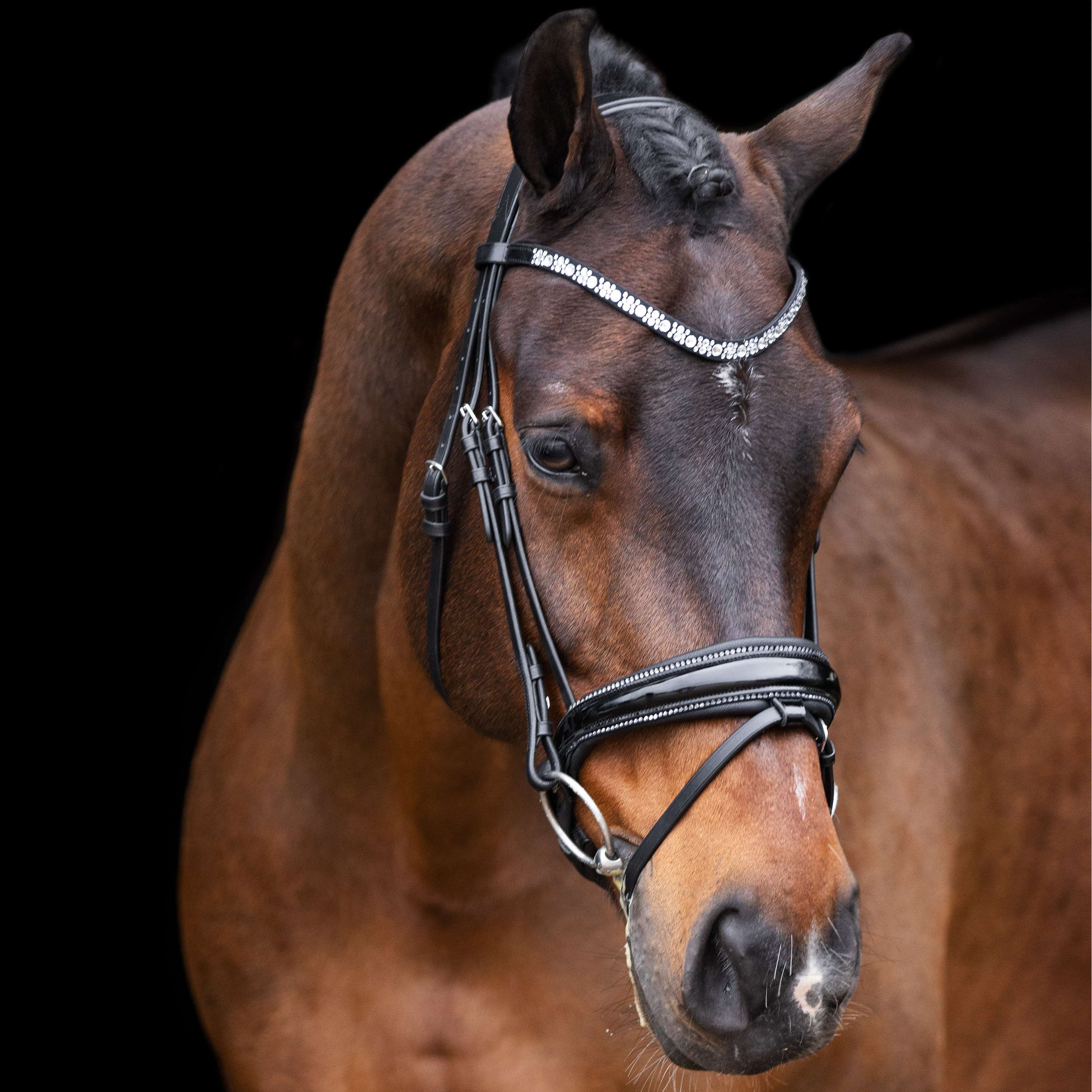 Imperial Riding Briglia IRHOlympia Nero Argento - Image 4