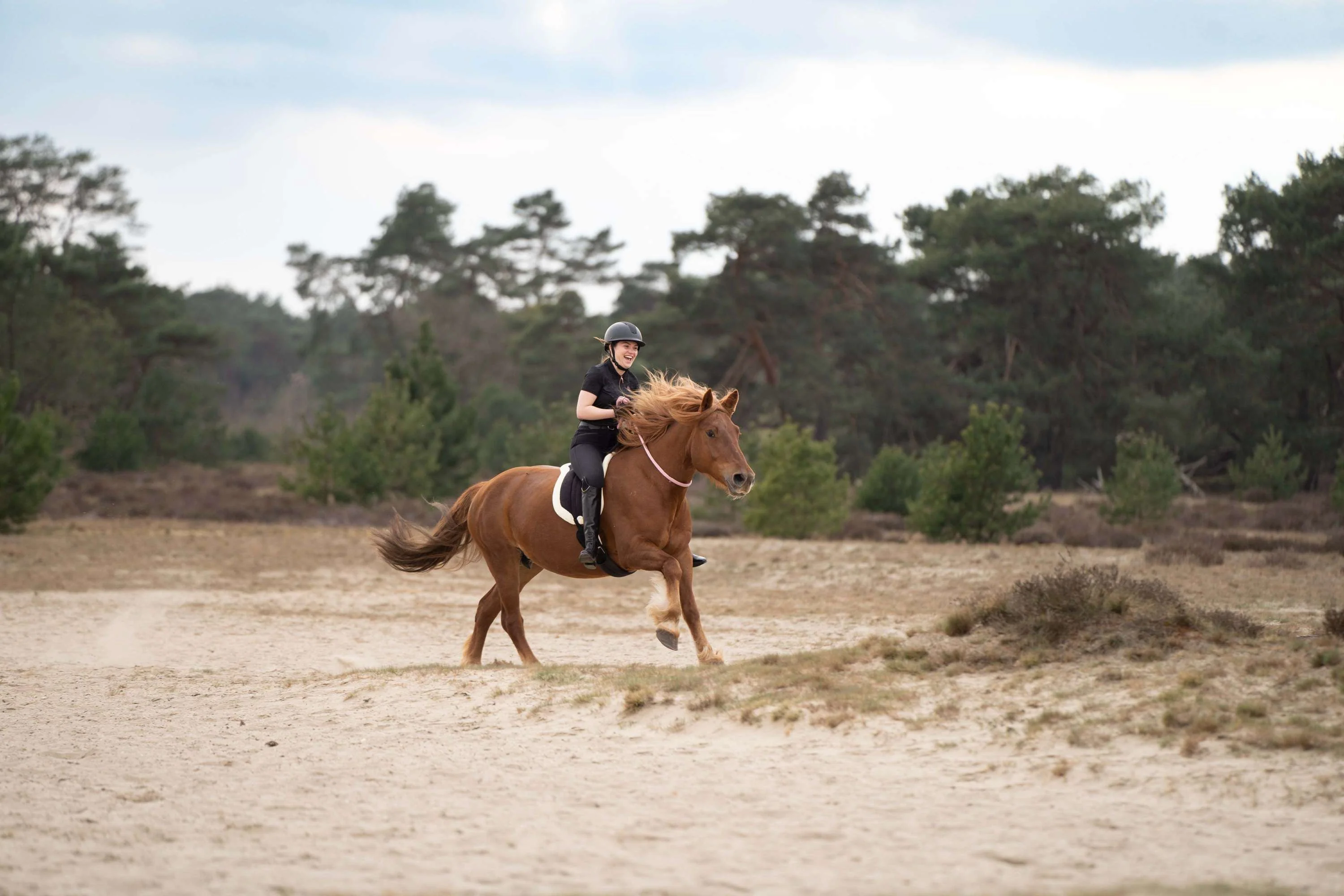 Imperial Riding Cavezza in Corda IRHFree Ride Nero - Image 2