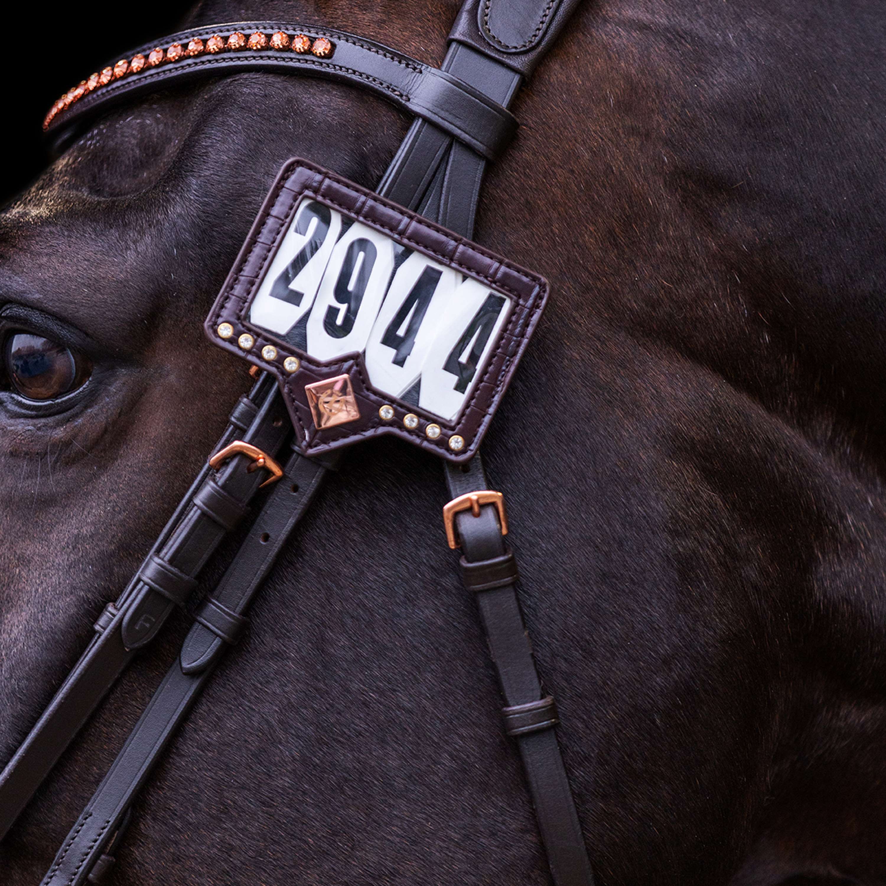 Imperial Riding Numeri di Gara IRHShow and Glow Brown/Brown Croco - Image 2