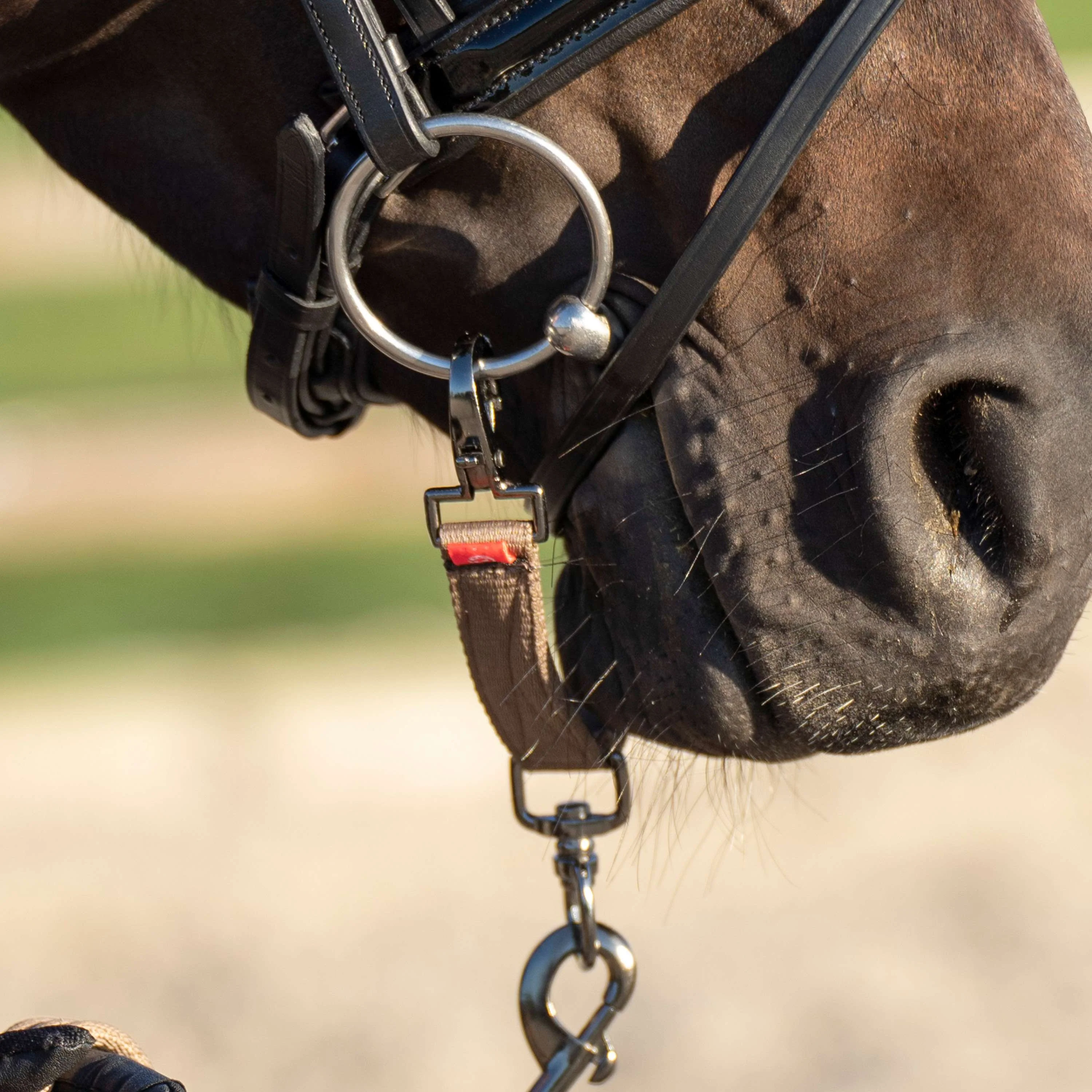 Imperial Riding Pezzo di briglie per longe IRH Cappuccino - Image 2