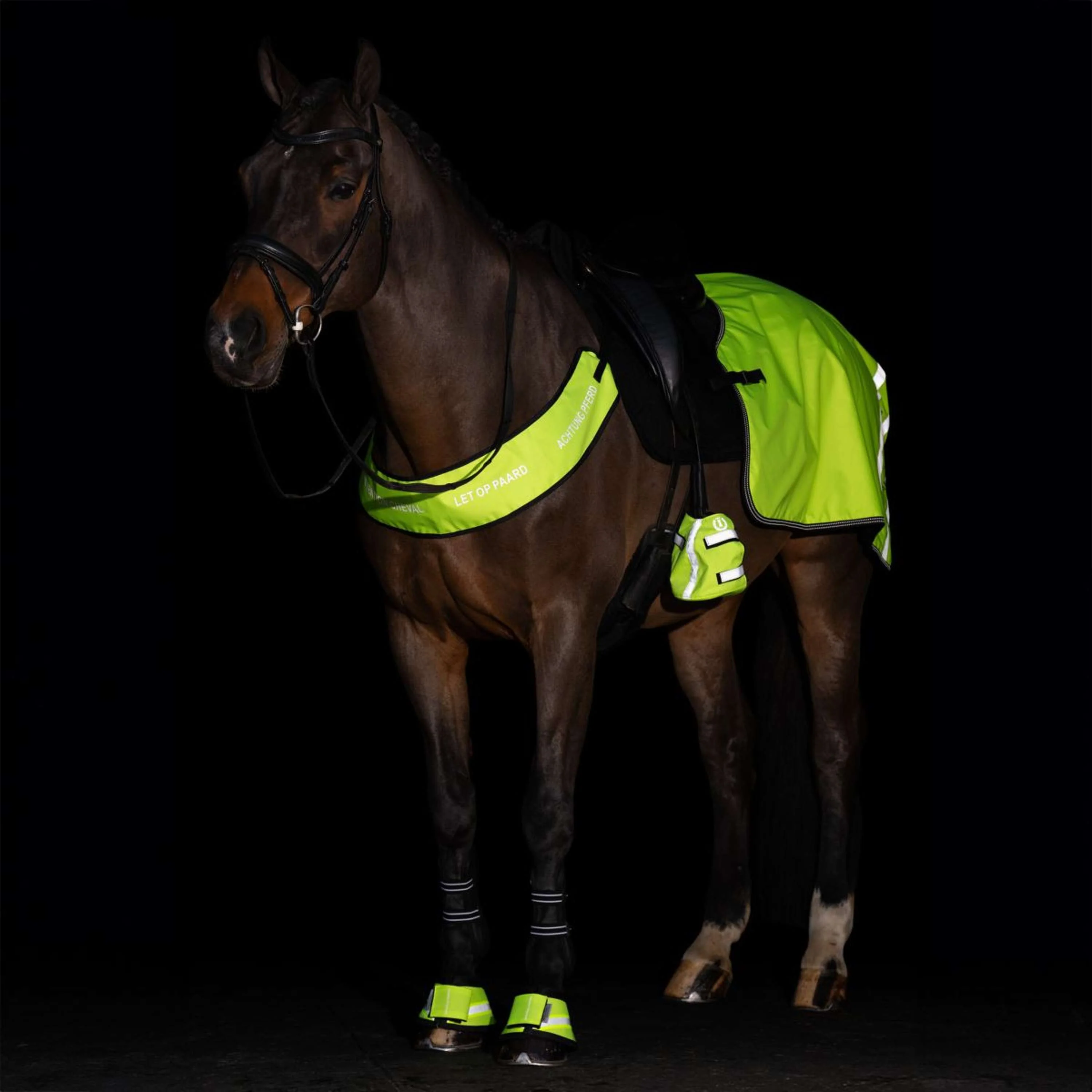 Imperial Riding Stivaletti a Campana IRHReflective Giallo - Image 3