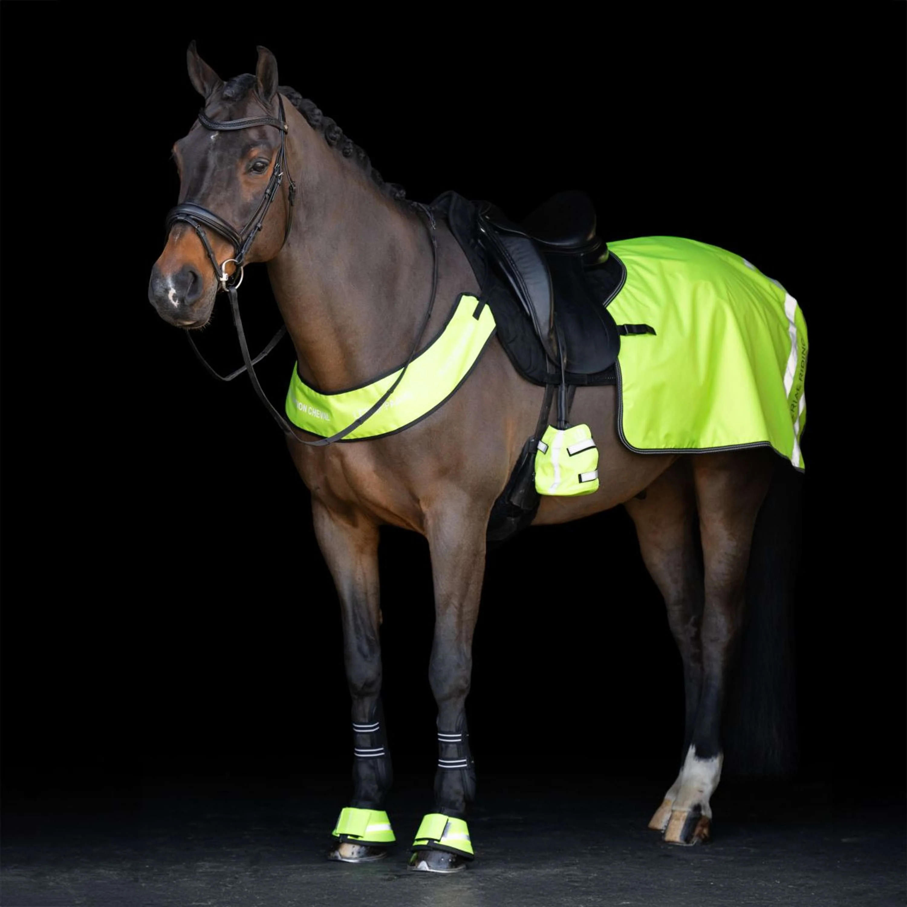 Imperial Riding Stivaletti a Campana IRHReflective Giallo - Image 4