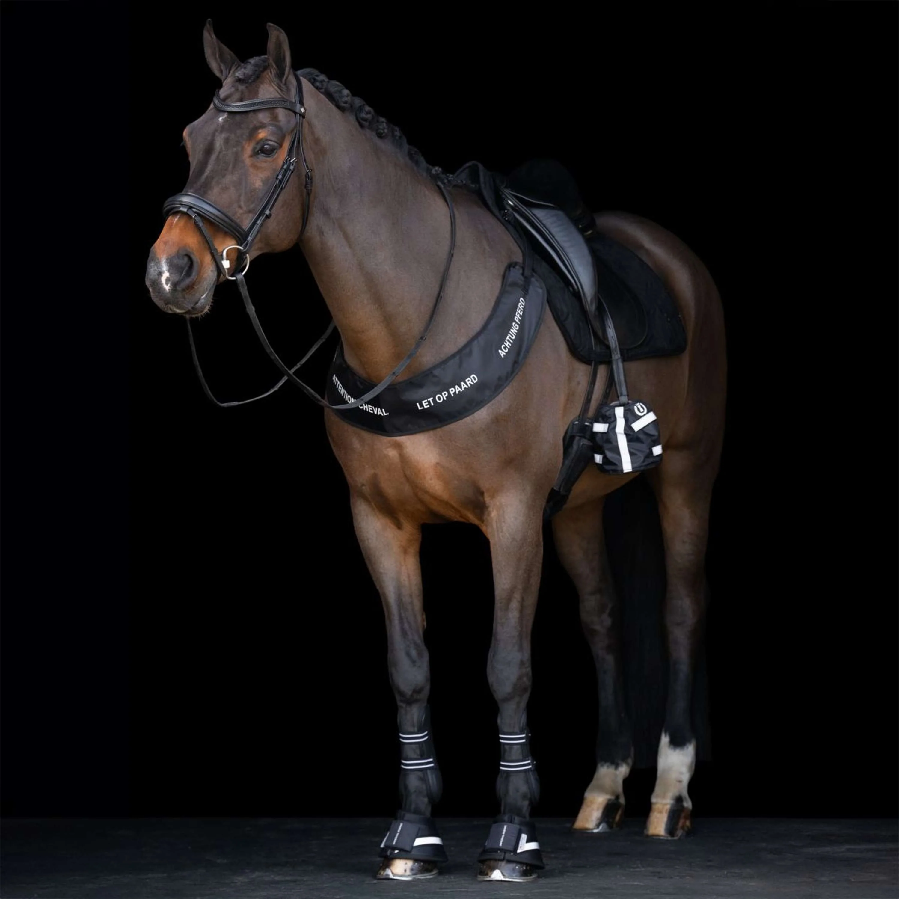 Imperial Riding Stivaletti a Campana IRHReflective Nero - Image 3