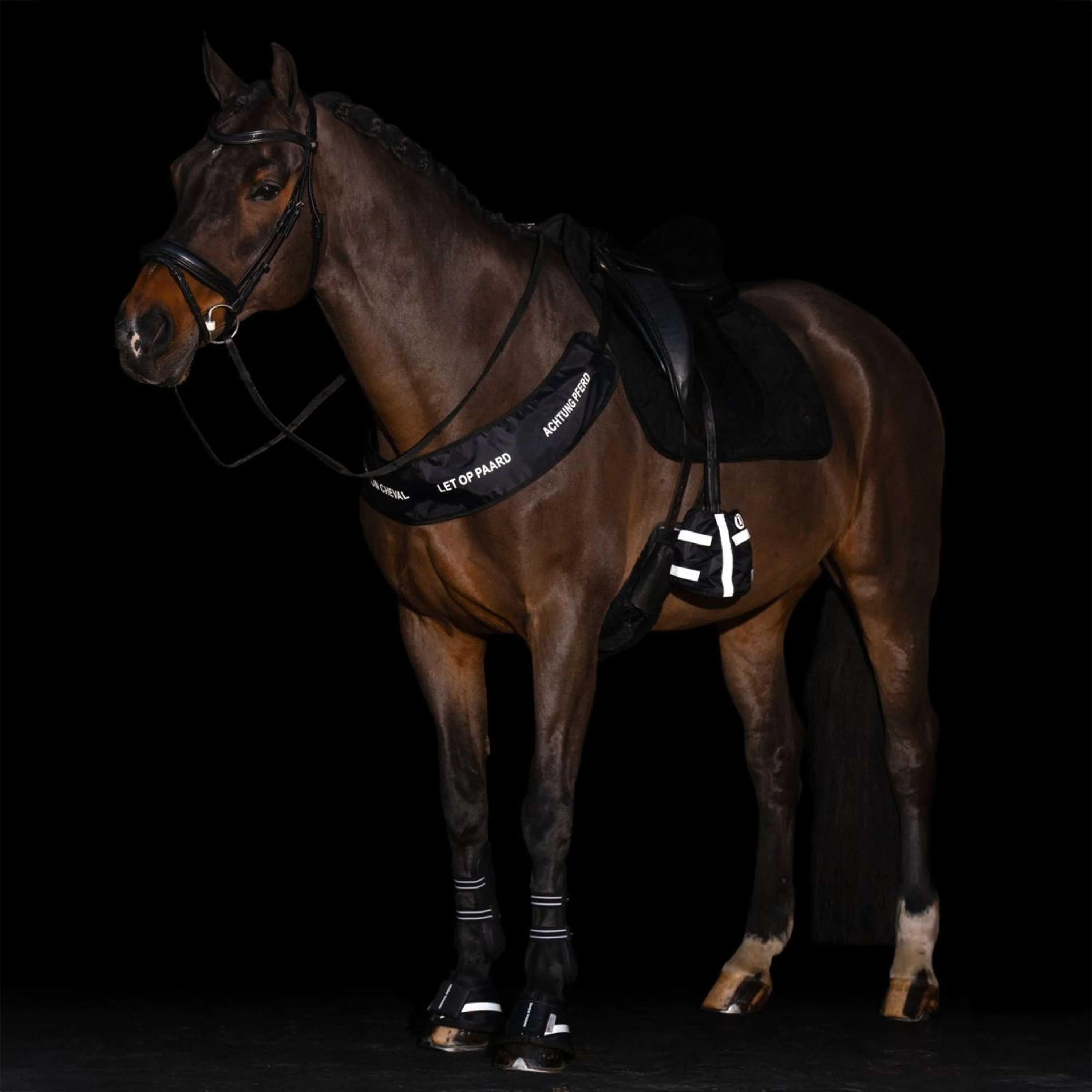Imperial Riding Stivaletti a Campana IRHReflective Nero - Image 4