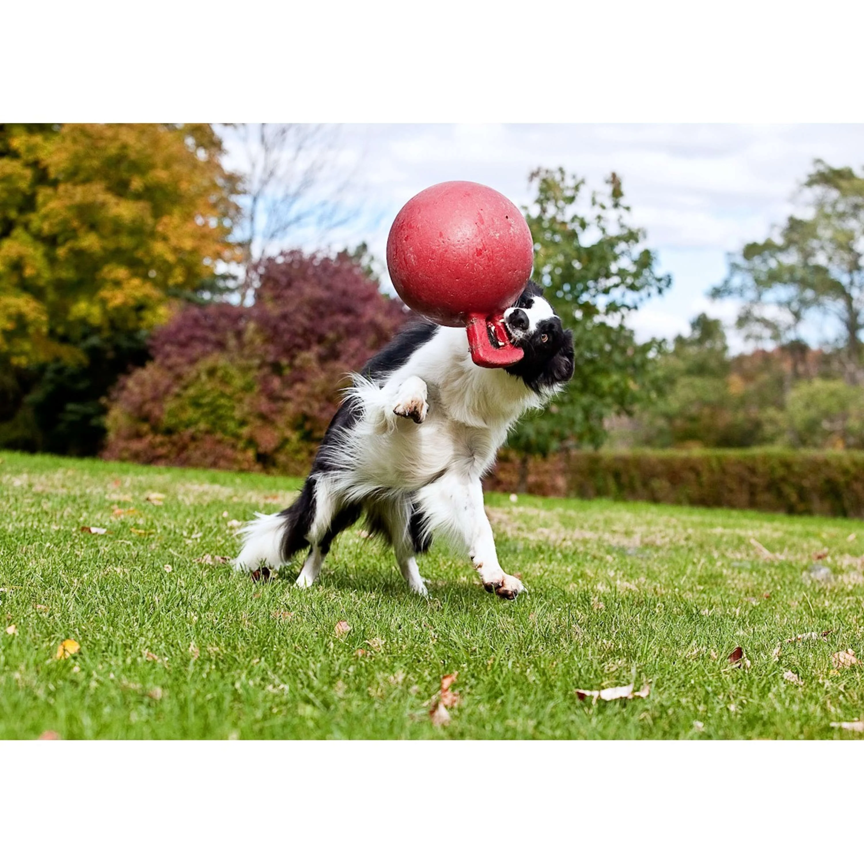 Jolly Ball Pallone da Gioco Tug-n-Toss Blu - Image 4