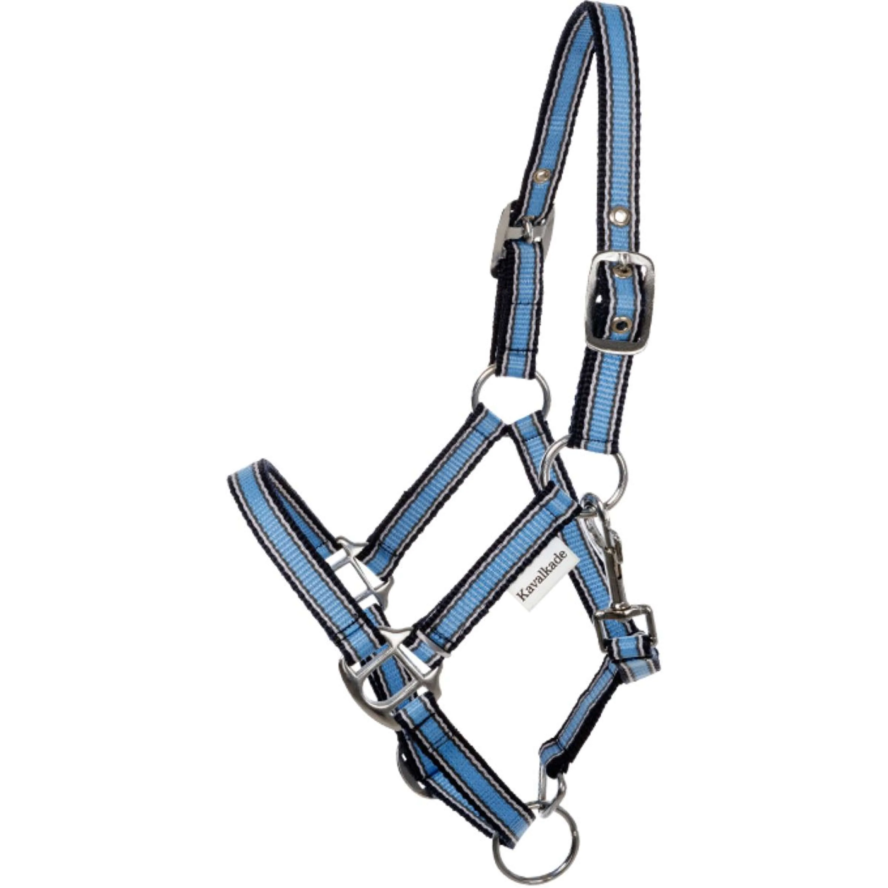Kavalkade Cavezza Shorty Blu - Image 2