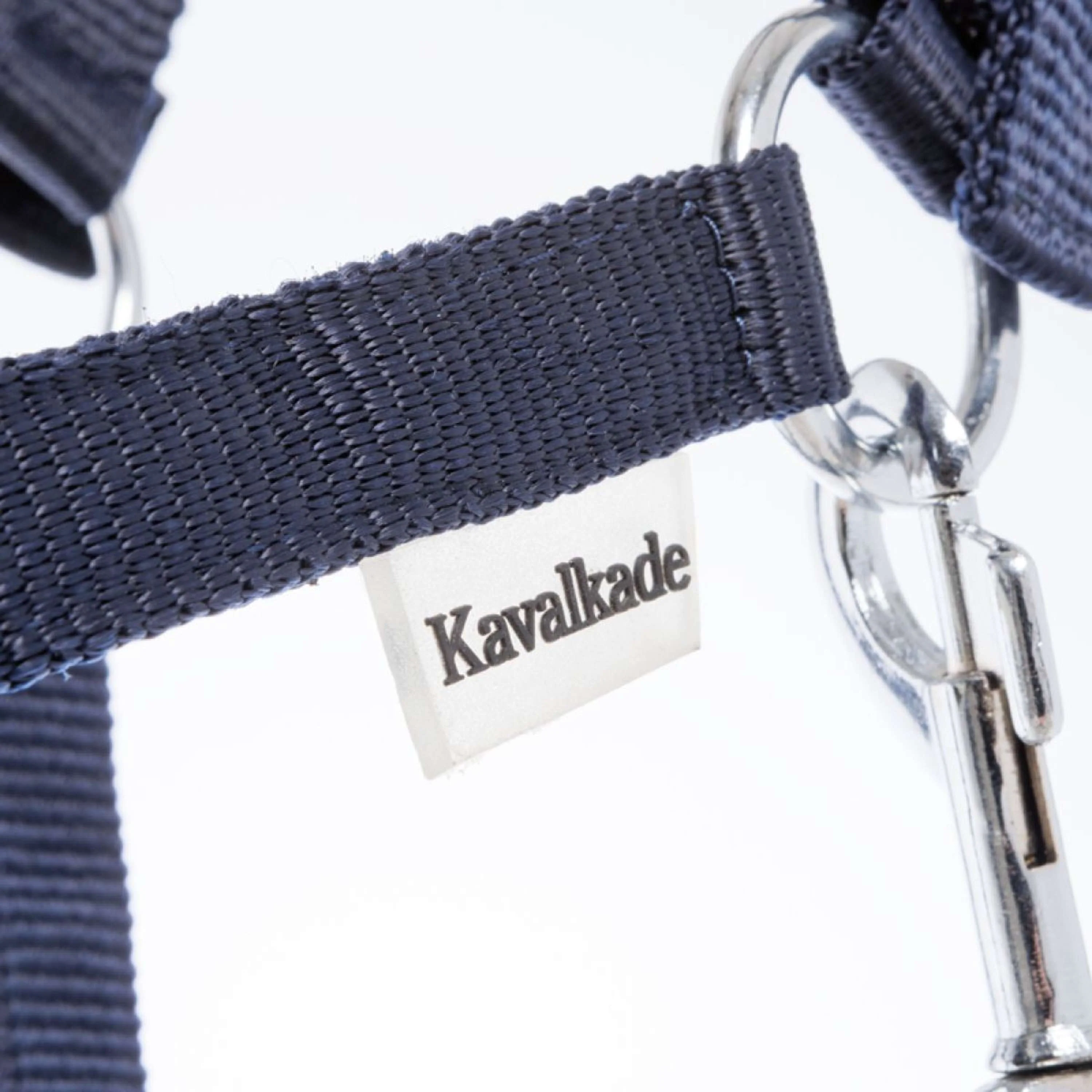 Kavalkade Cavezza Shorty Navy - Image 3