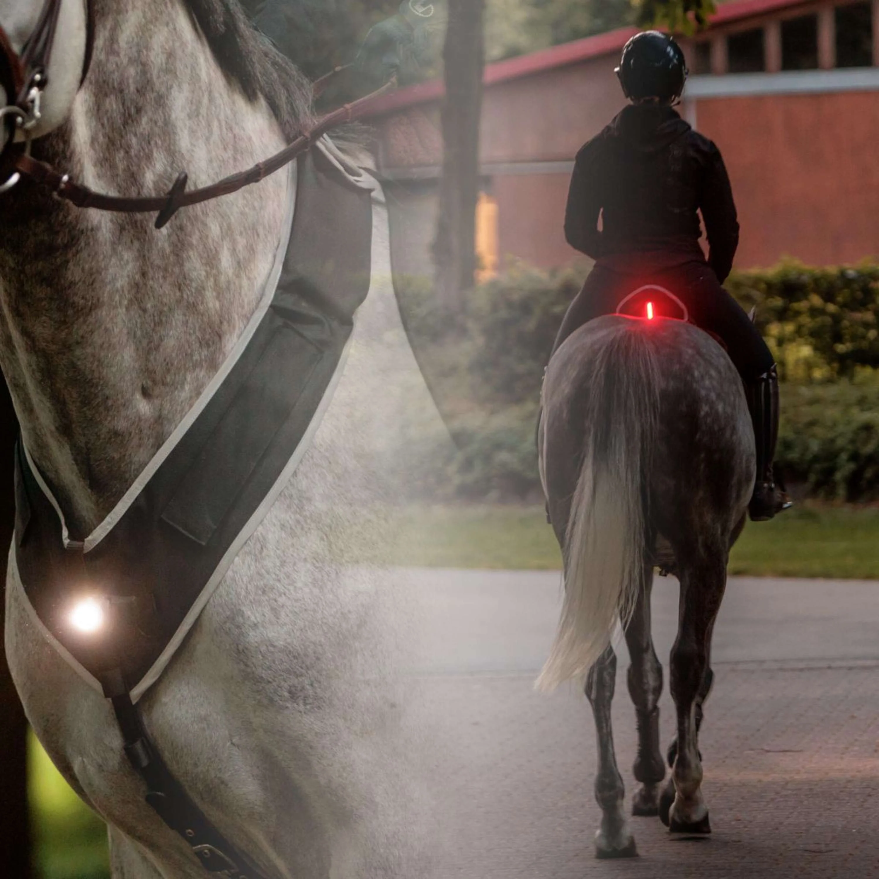 Kavalkade Pettorale/Sella Horselight Nero/Grigio