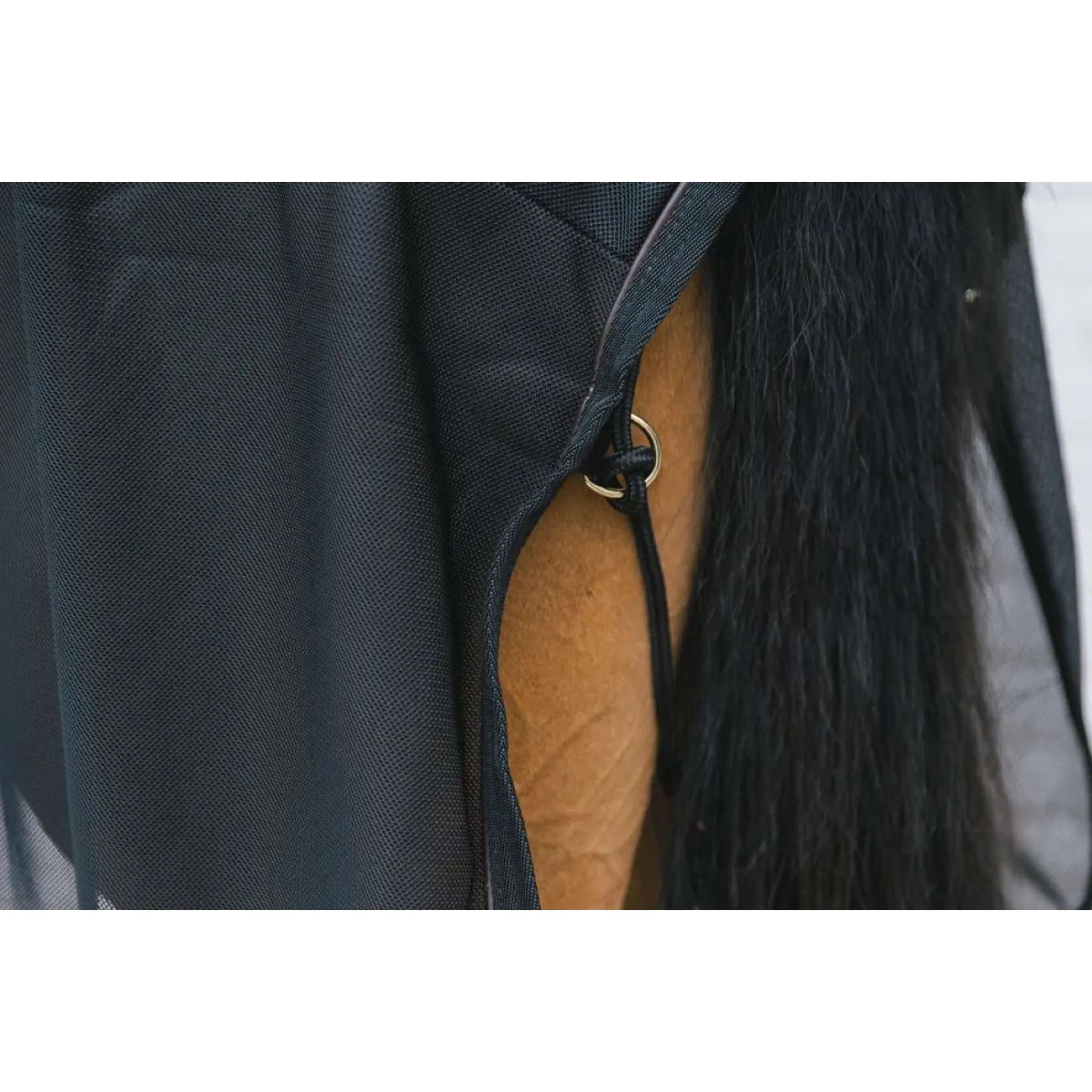 Kentucky Coperta antimosche Mesh Nero - Image 6