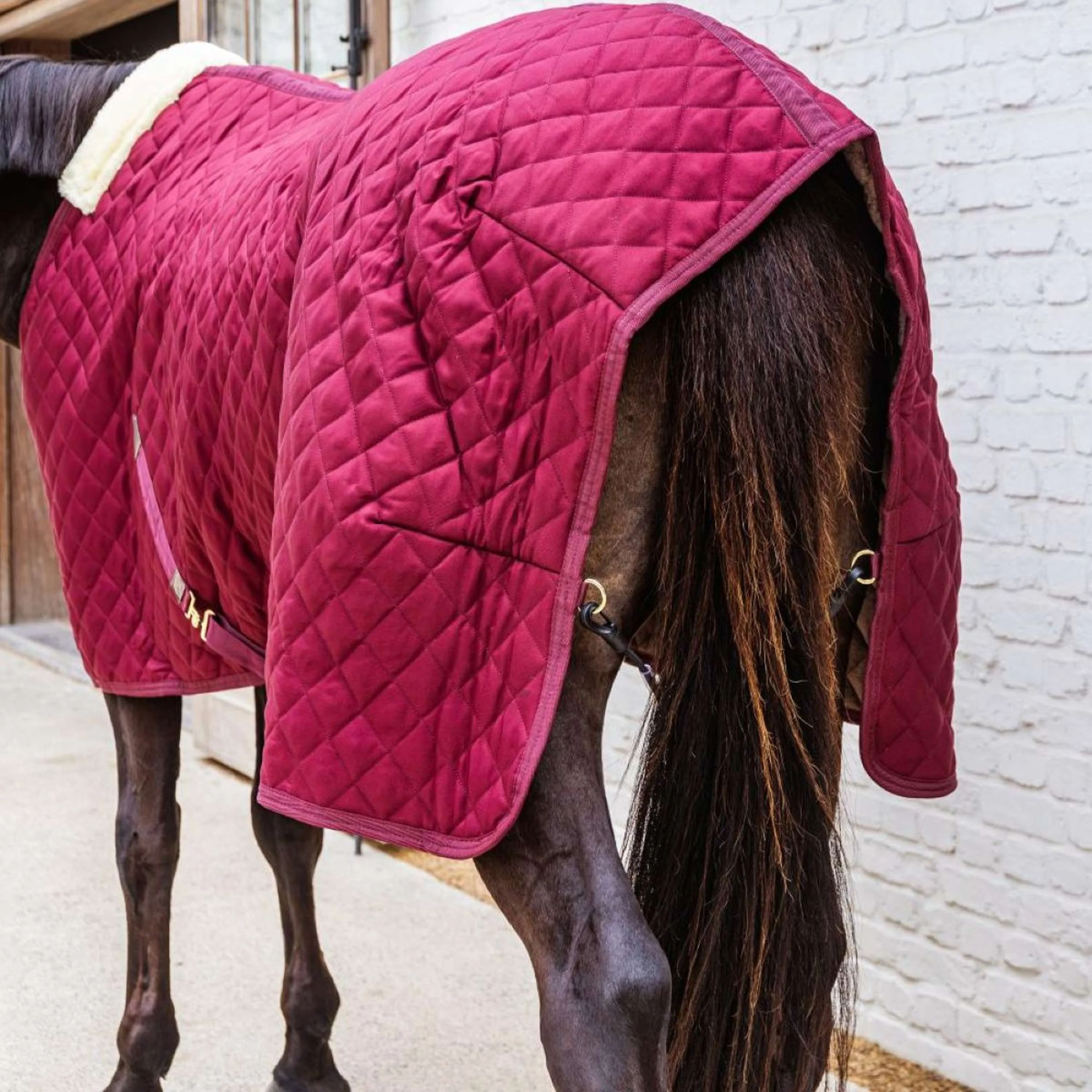 Kentucky Coperta da scuderia 400g Bordeaux - Image 6
