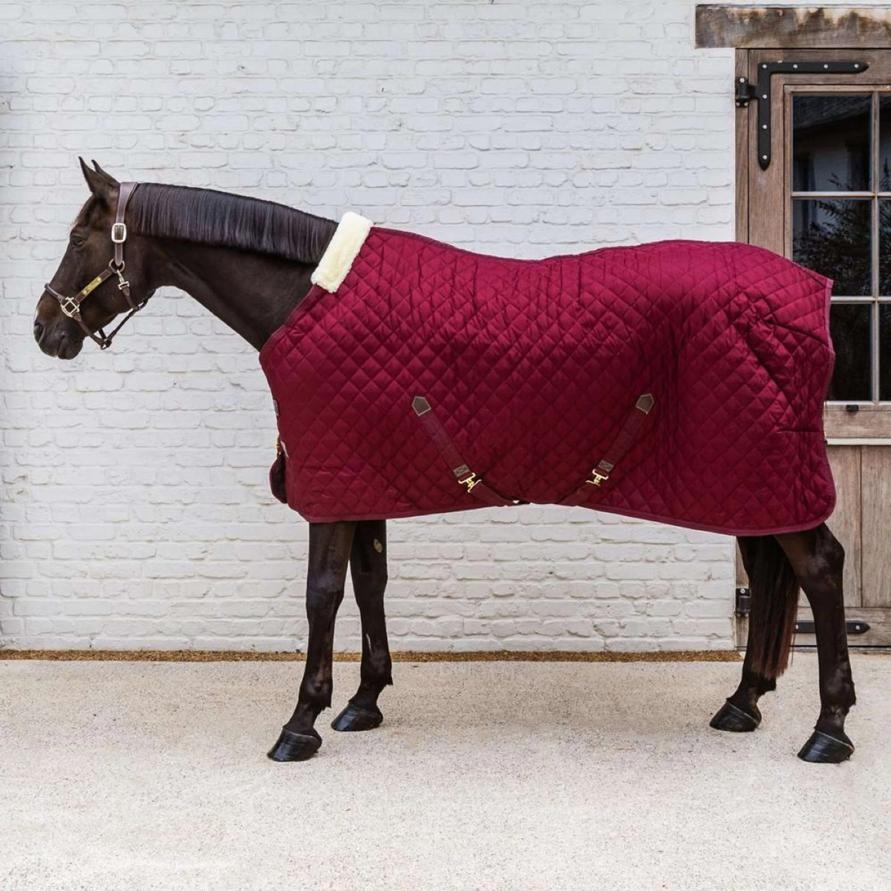 Kentucky Coperta da scuderia 400g Bordeaux - Image 8