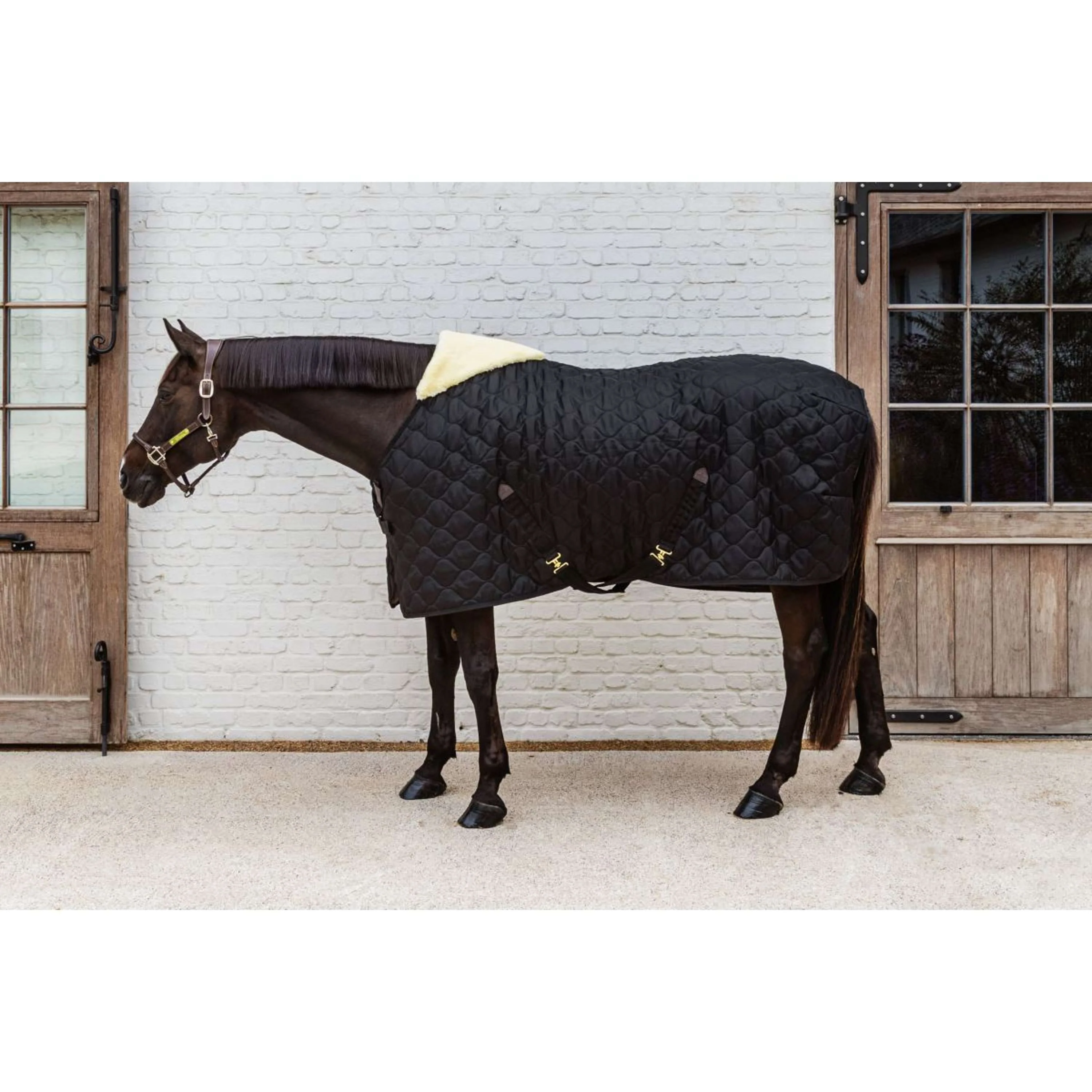 Kentucky Coperta da scuderia Comfort 100g Nero - Image 2