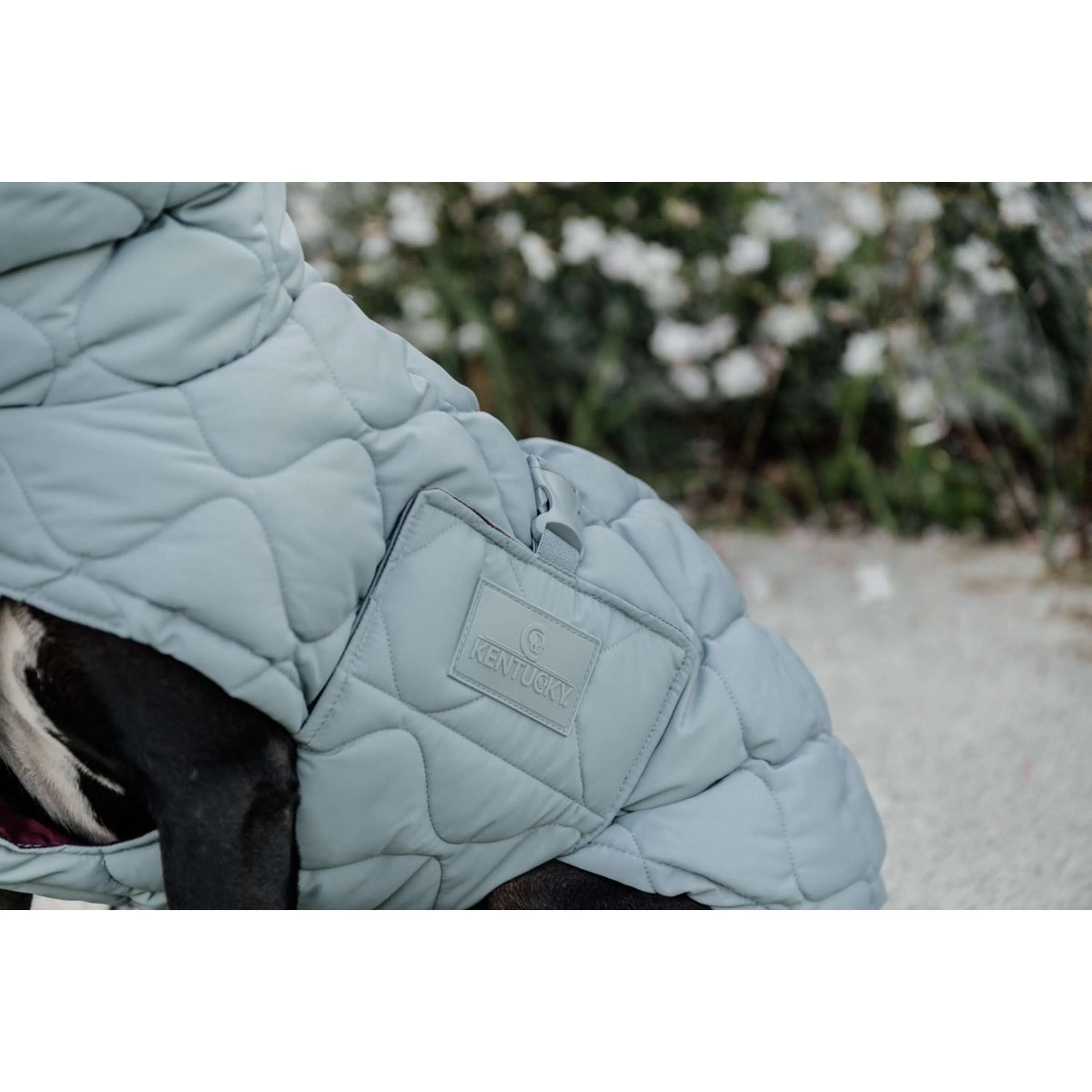 Kentucky Horsewear Coperta per Cani Winter Pina 160g Dusty Blue - Image 9