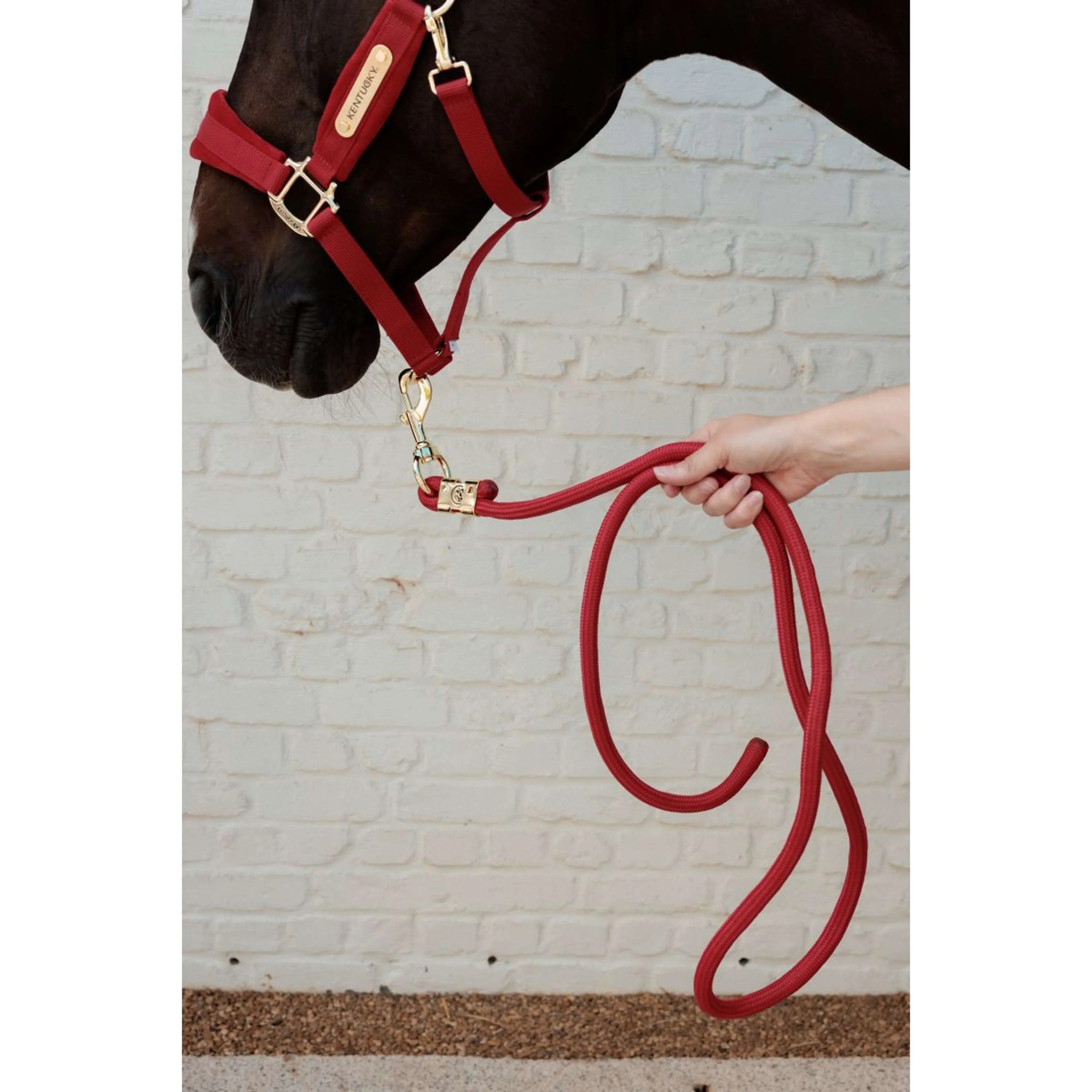 Kentucky Corda per cavezza Basic Rosso