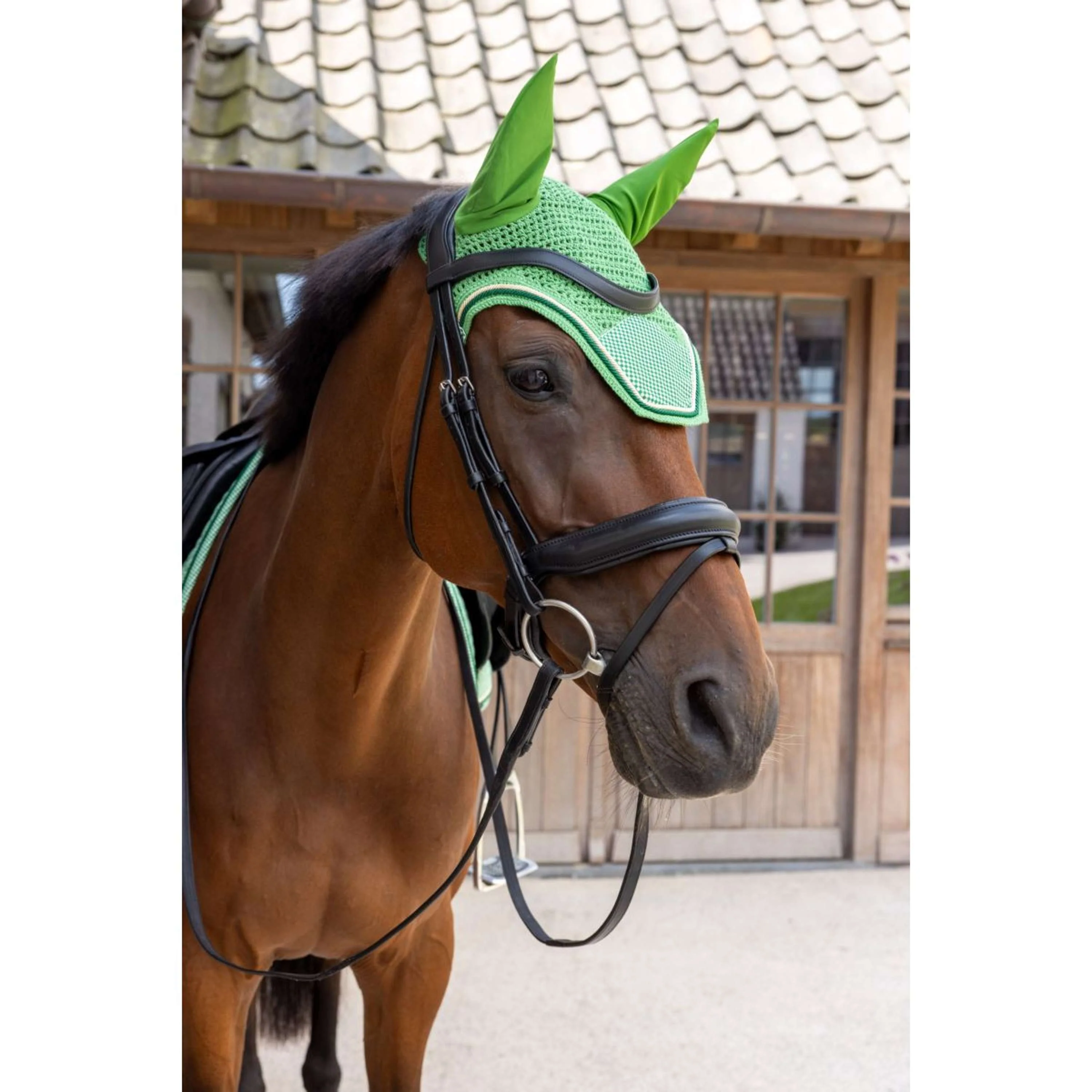 Kentucky Cuffietta Wellington Velvet Chess Verde - Image 2