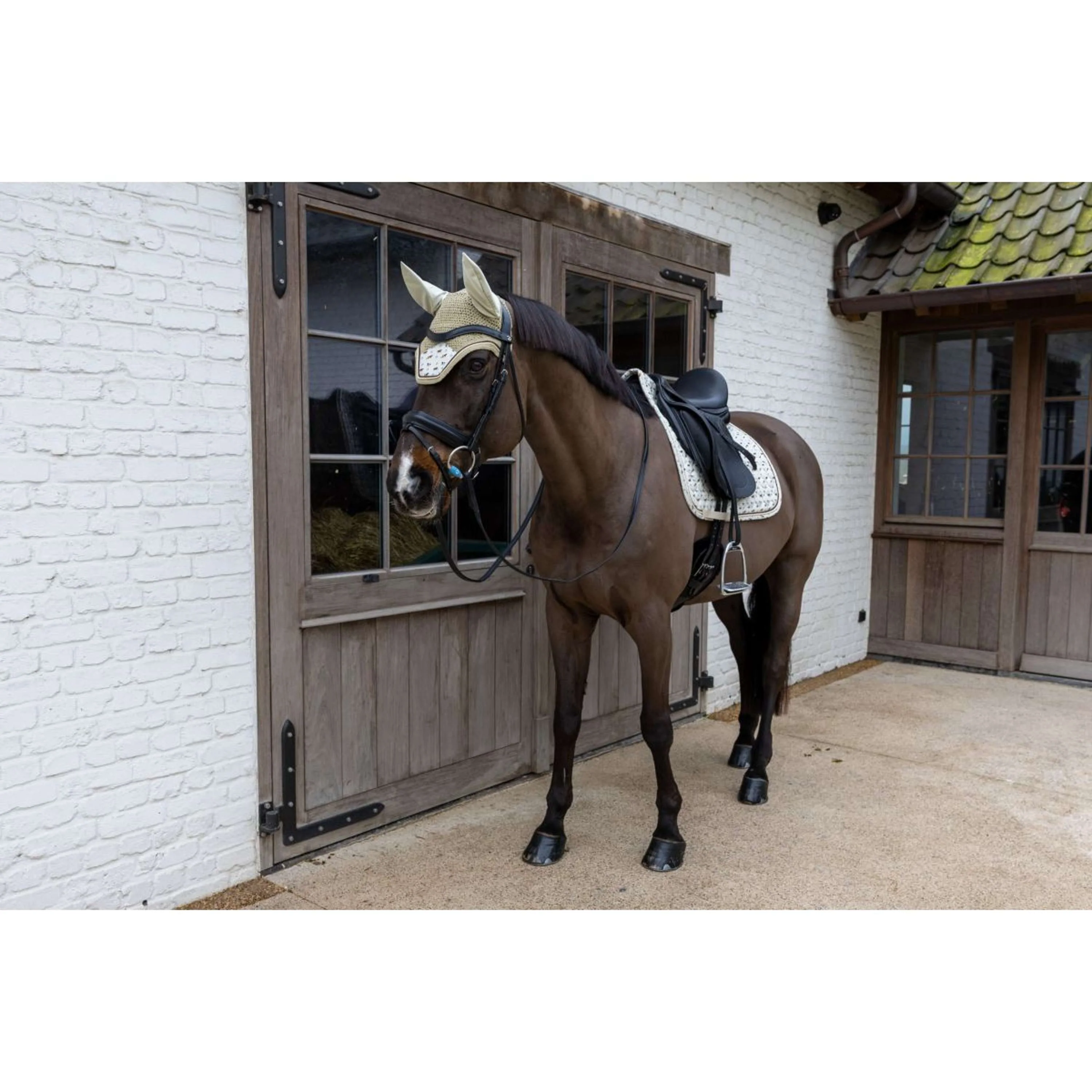 Kentucky Cuffietta Wellington Velvet Horse Printing Beige - Image 3