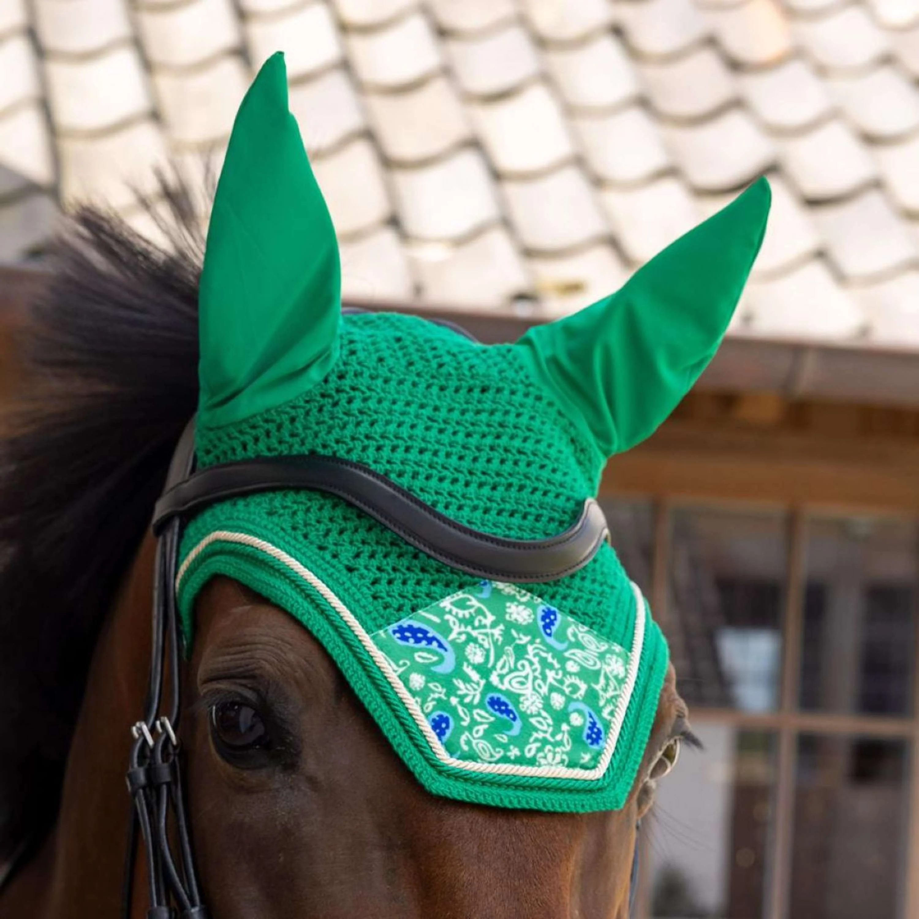 Kentucky Cuffietta Wellington Velvet Paisley Garden Verde/Blu marino - Image 2
