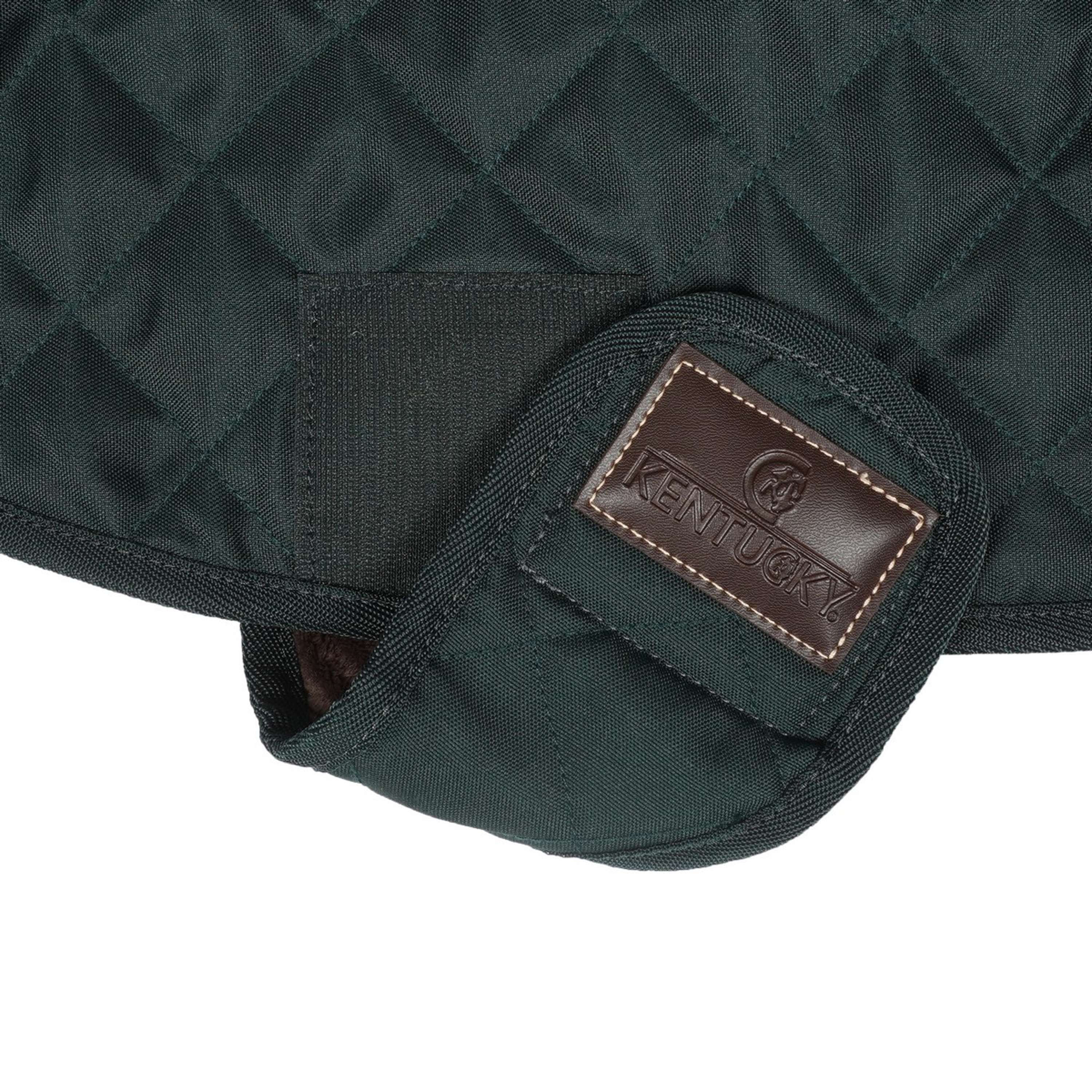 Kentucky Dogwear Cappotto per Cane Origninal Verde scuro - Image 10